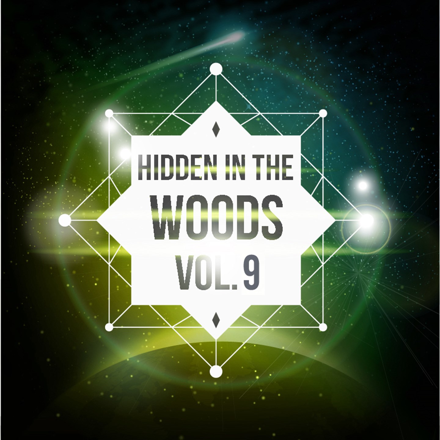 Hidden In The Woods Vol.9