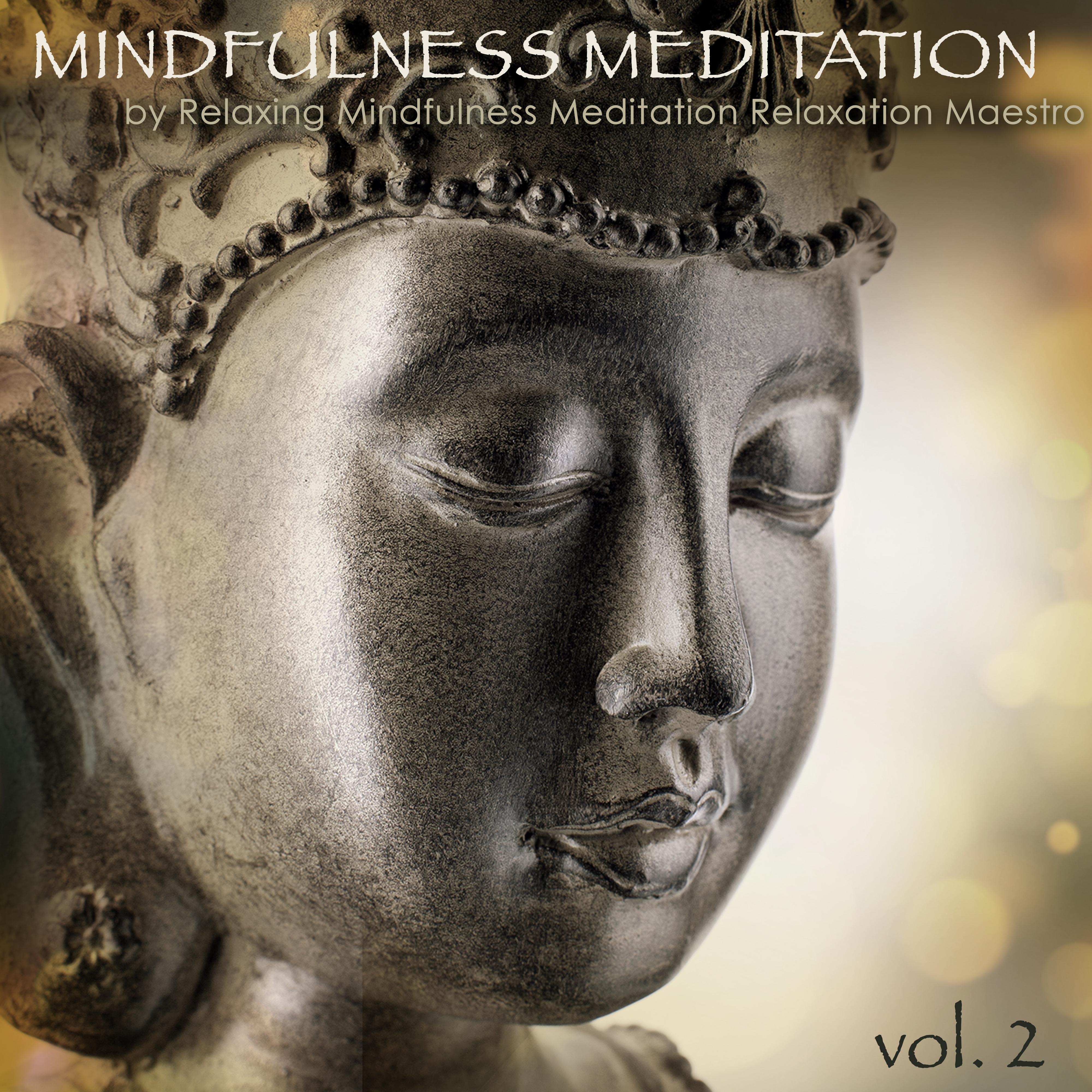 Mindfulness Meditation, Vol. 2  50 Amazing Peaceful Music for Deep Zen Meditation, Concentration  Mindfulness