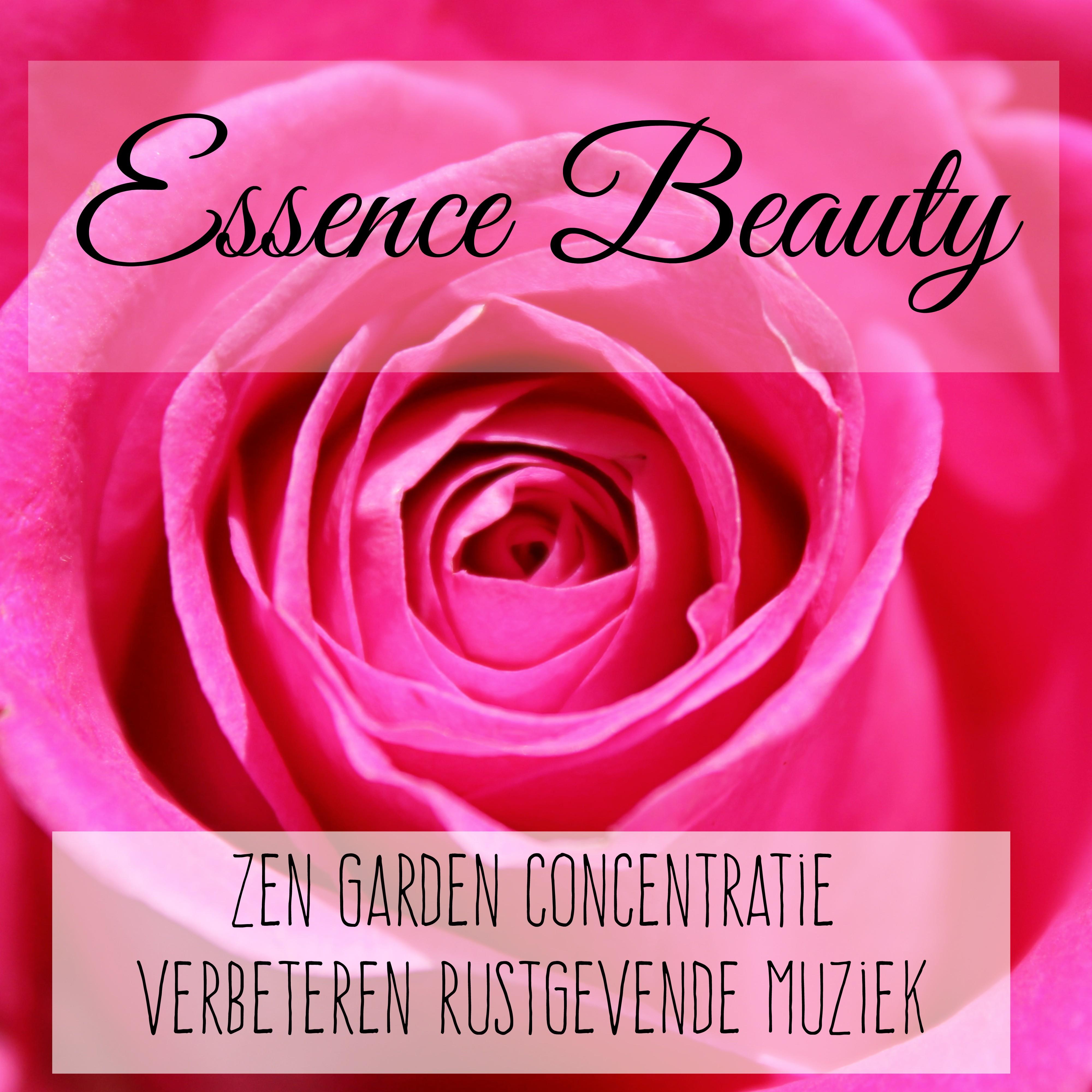 Essence Beauty - Zen Garden Concentratie Verbeteren Rustgevende Muziek voor Yoga Helende Therapie Ontspanningsmassage met Natuur Instrumentale Spirituele Geluiden