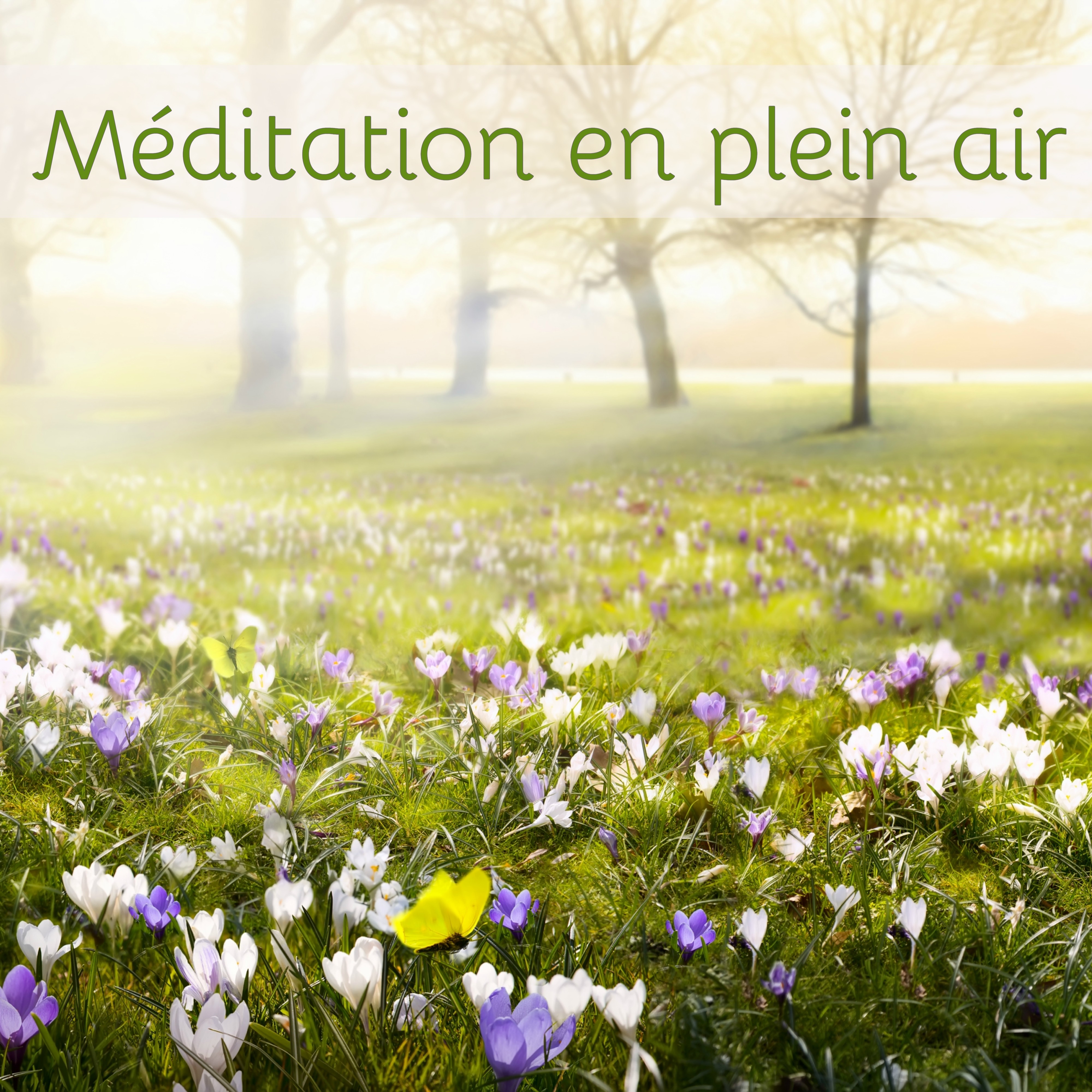 Musique d' ambiance pour yoga et me ditation