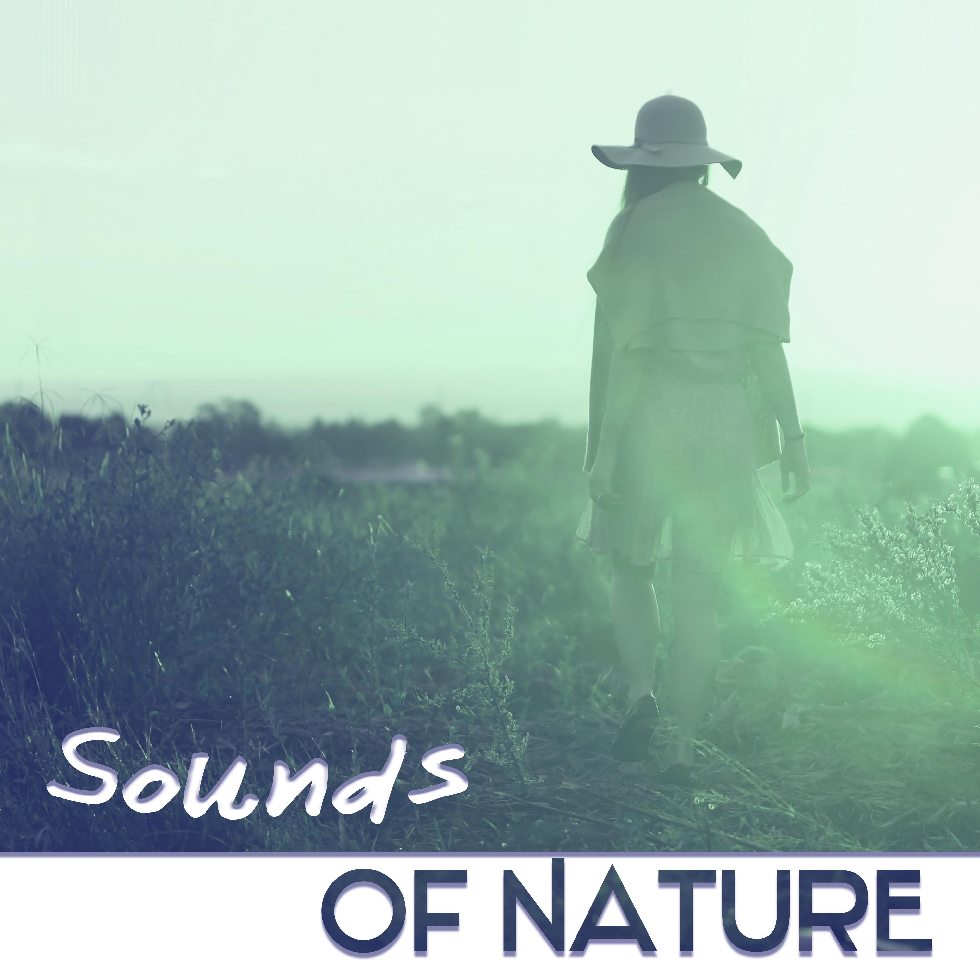 Sounds Of Nature  Music for Relaxation  Meditation, Sleep Song, Lucid Dream, Binaural Beats with Delta Waves