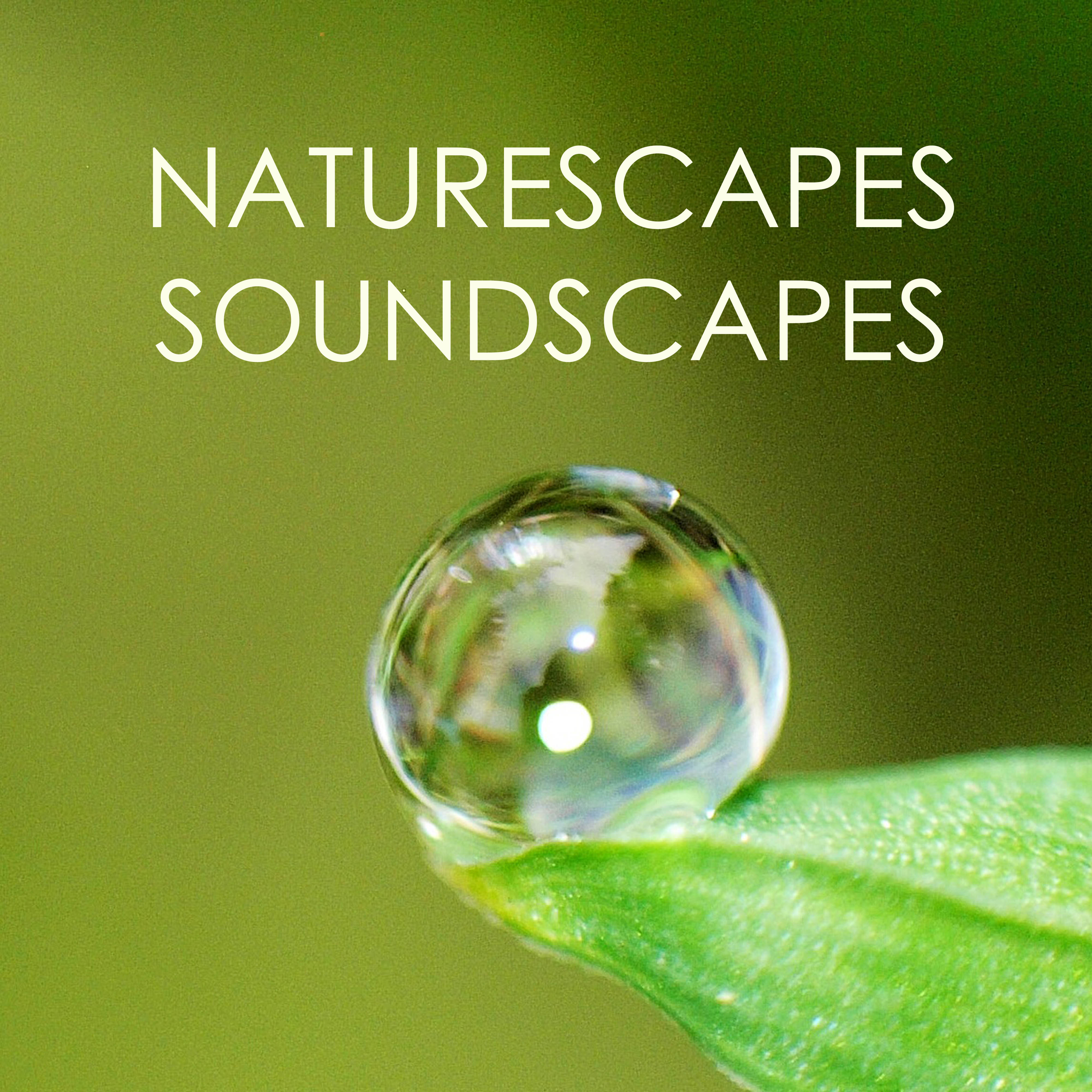 Naturescapes & Soundscapes - Pure Ambient Relaxation