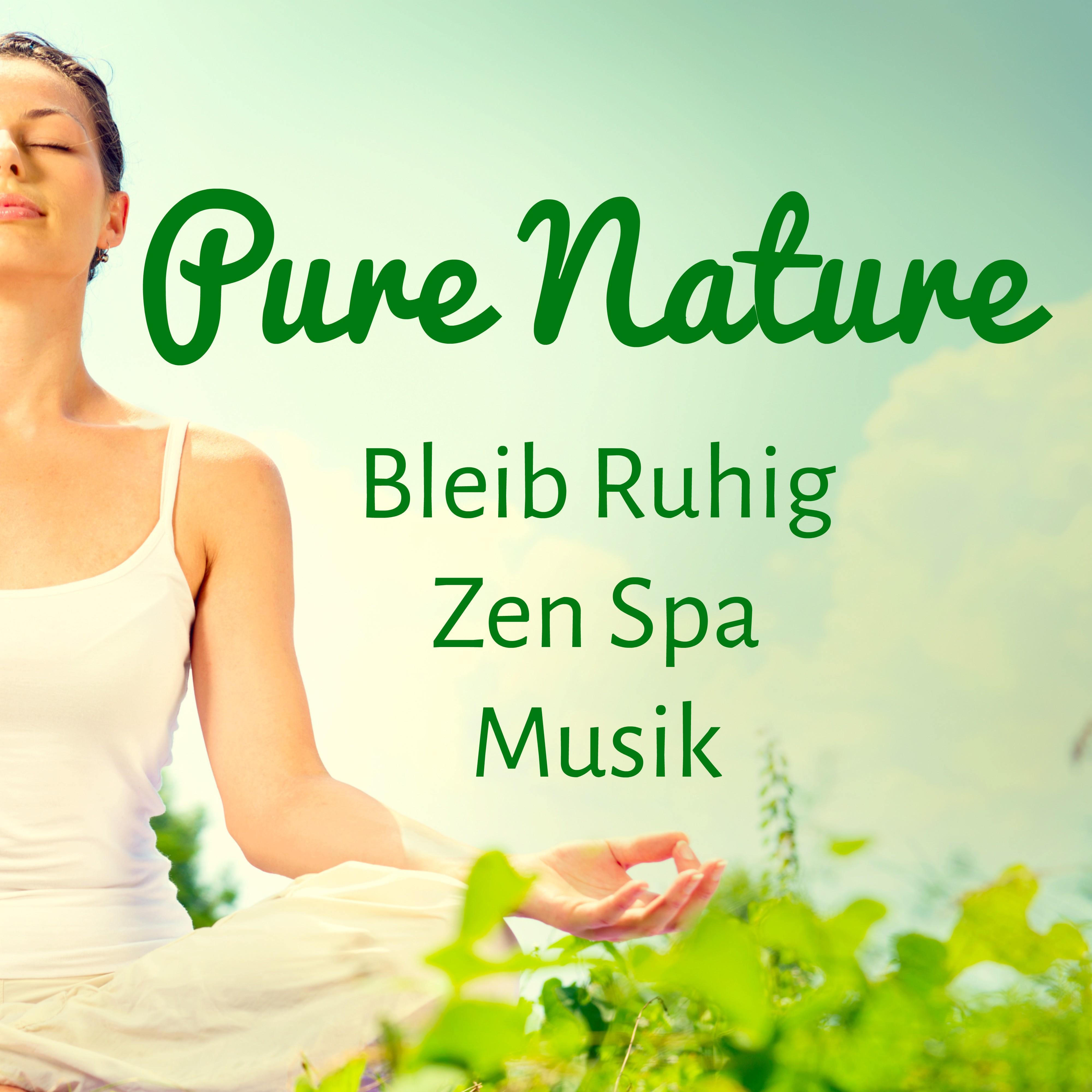 Pure Nature  Bleib Ruhig Zen Spa Musik fü r Konzentration Steigern Gefü hrte Meditation und Spirituelles Training
