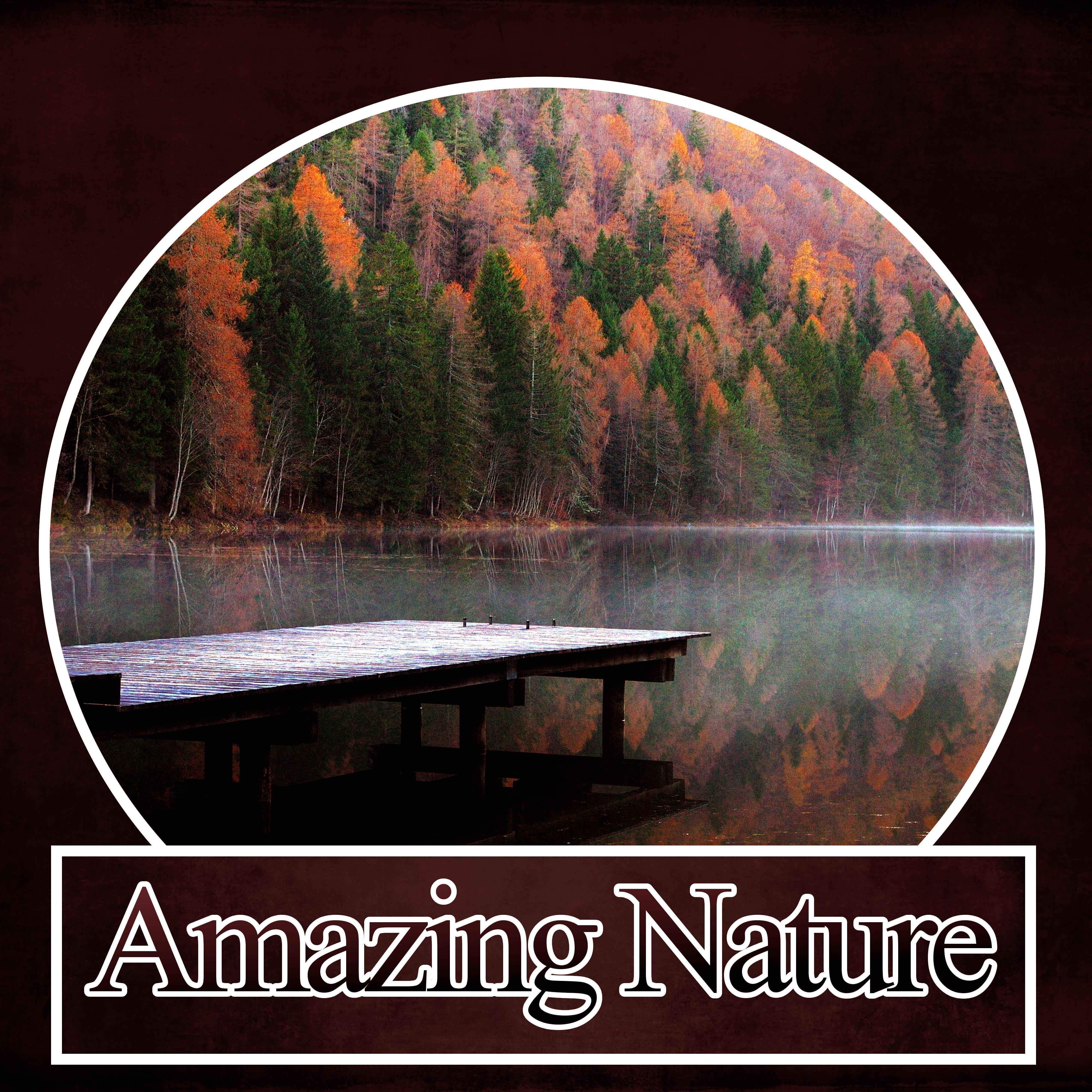 Amazing Nature  New Age Relaxation Sounds, Wellness Spa Lounge, Soothing Sounds, Gentle Touch, Background Music, Massage Spa