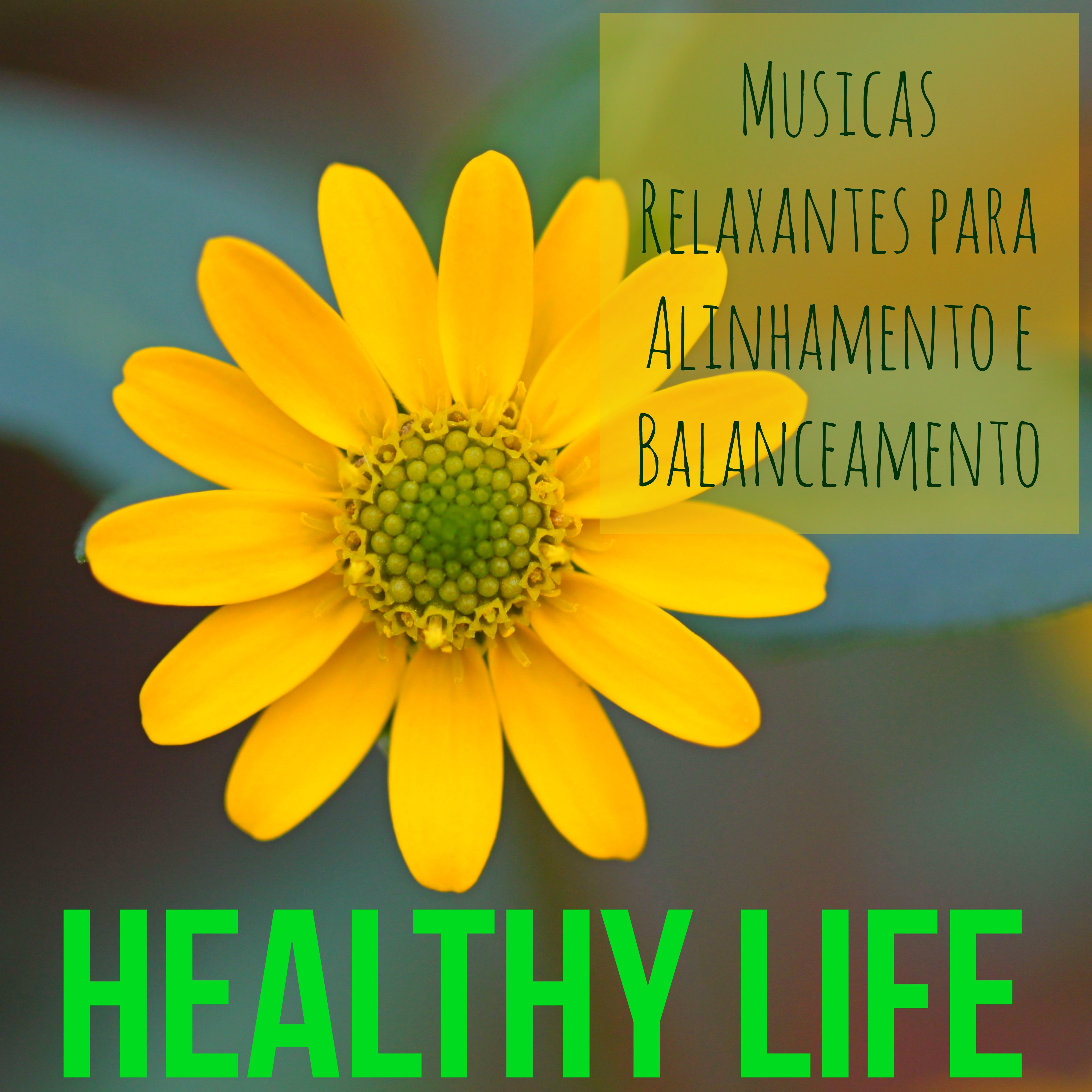 Healthy Life  Musicas Relaxantes Chill de Medita o para Alinhamento e Balanceamento con Sons da Natureza Instrumentais