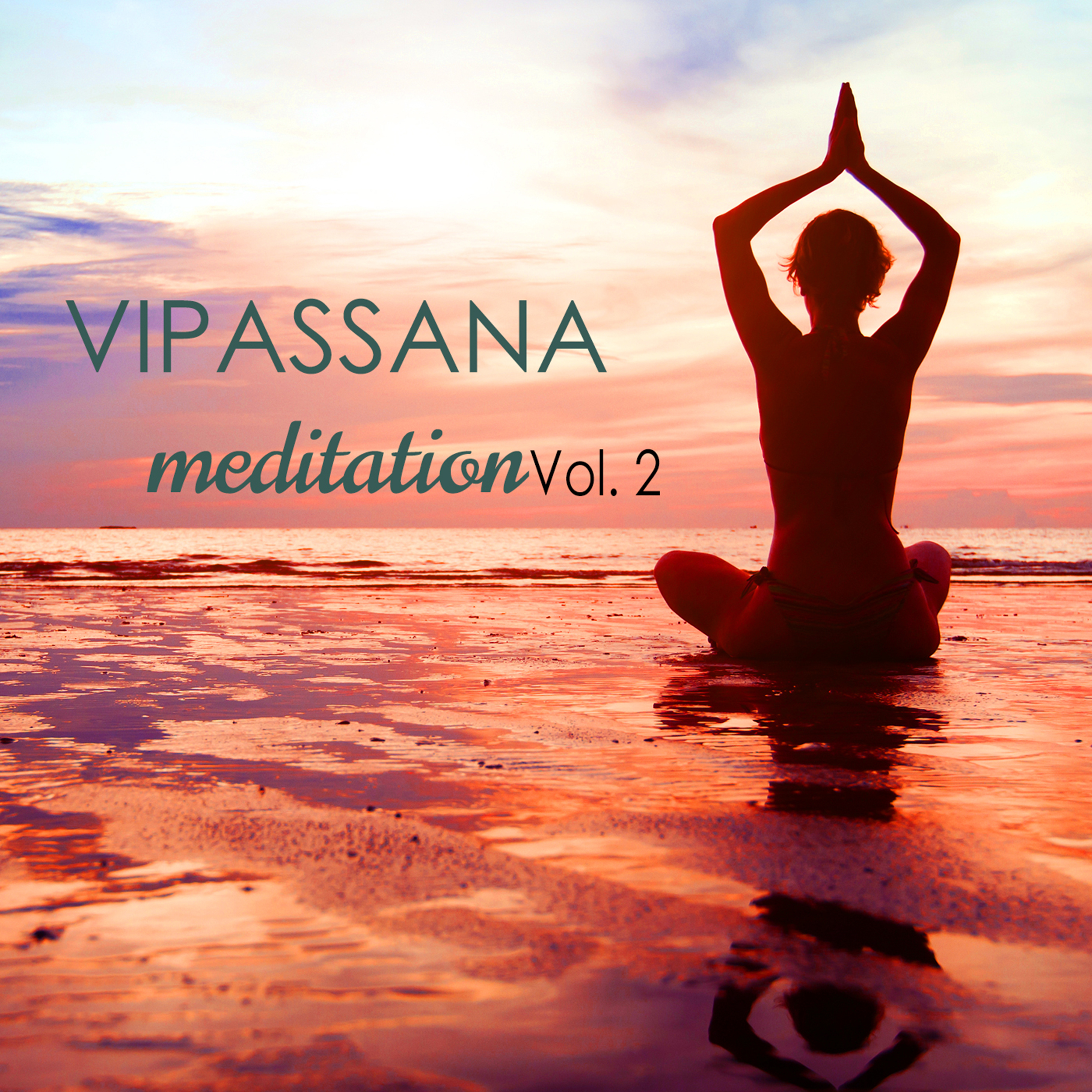 Vipassana Meditation, Vol. 2 - Ambient Nature Sounds Music 2014 for Insight Meditation