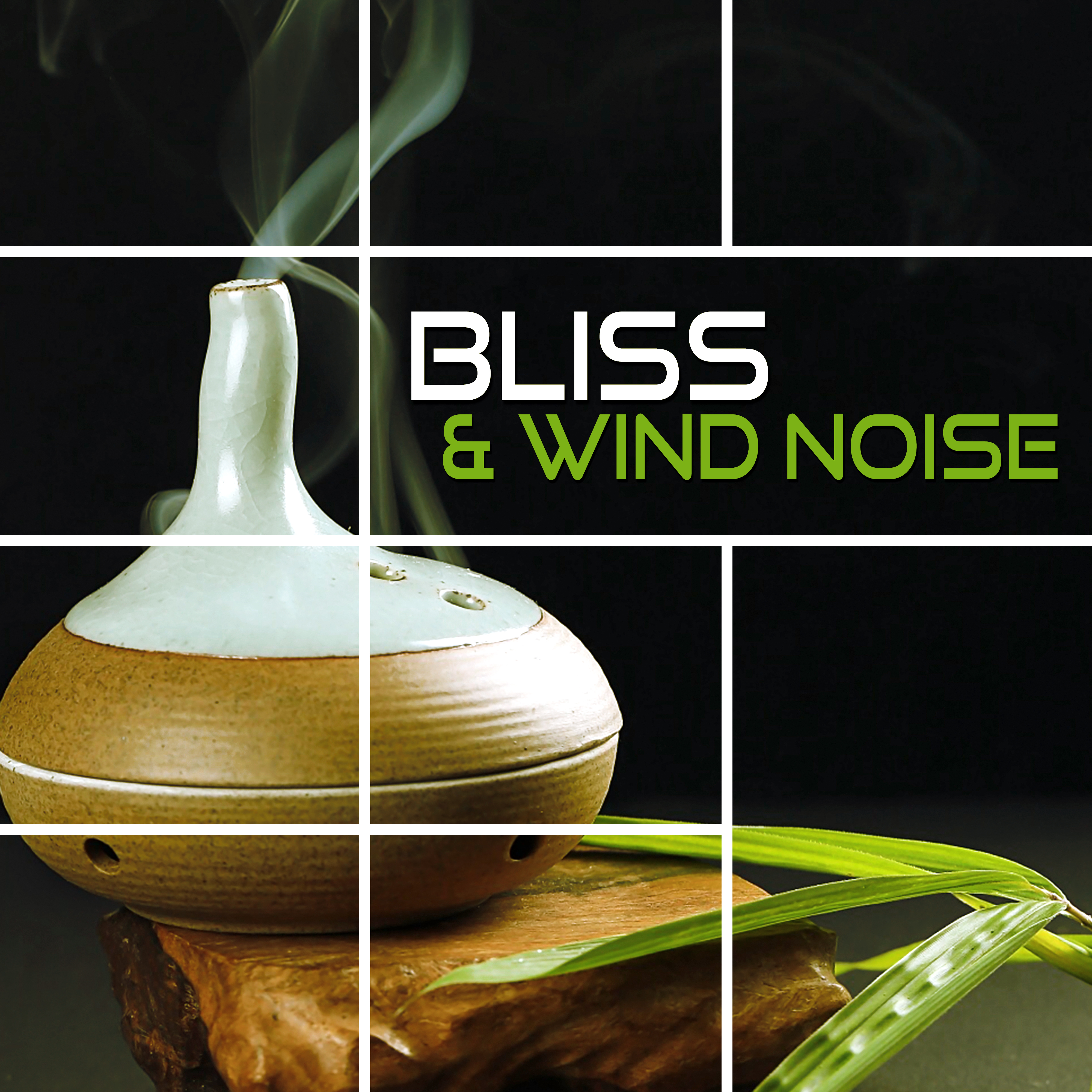 Bliss  Wind Noise  Music for Relaxation  Meditation, Sleep Song, Lucid Dream, Binaural Beats with Delta Waves