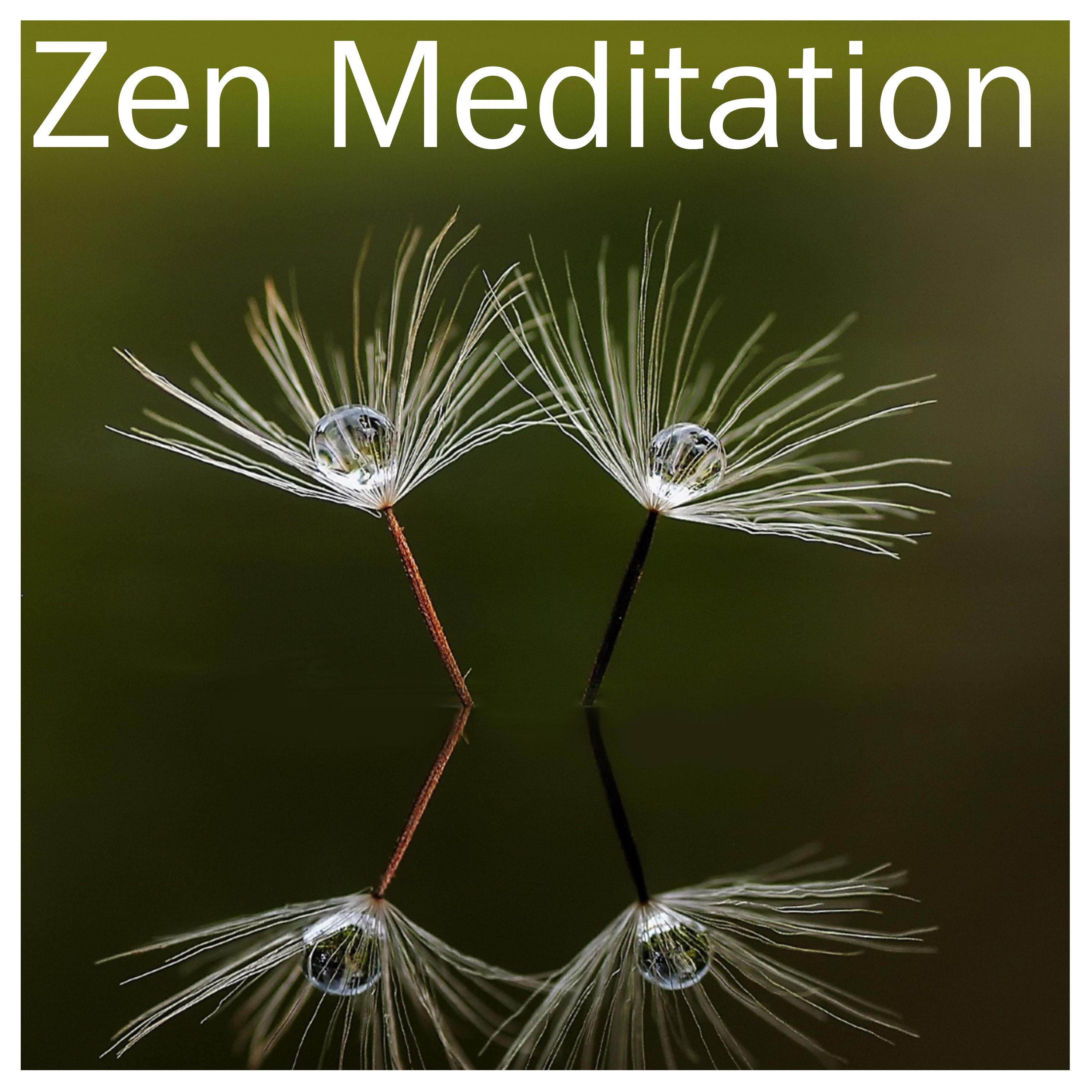 15 Meditation Nature Rain Sounds - Zen Master Focus