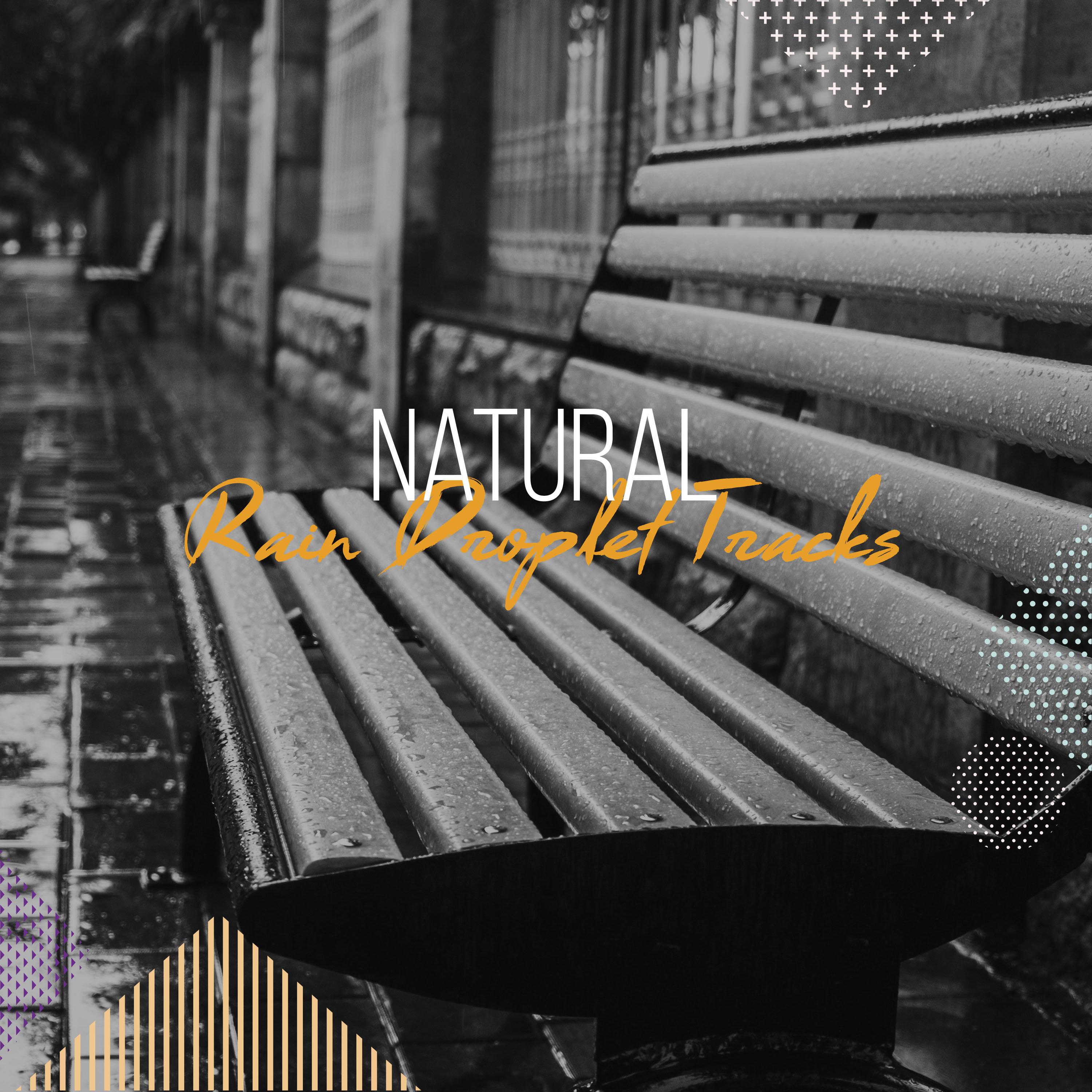 #21 Natural Rain Droplet Tracks