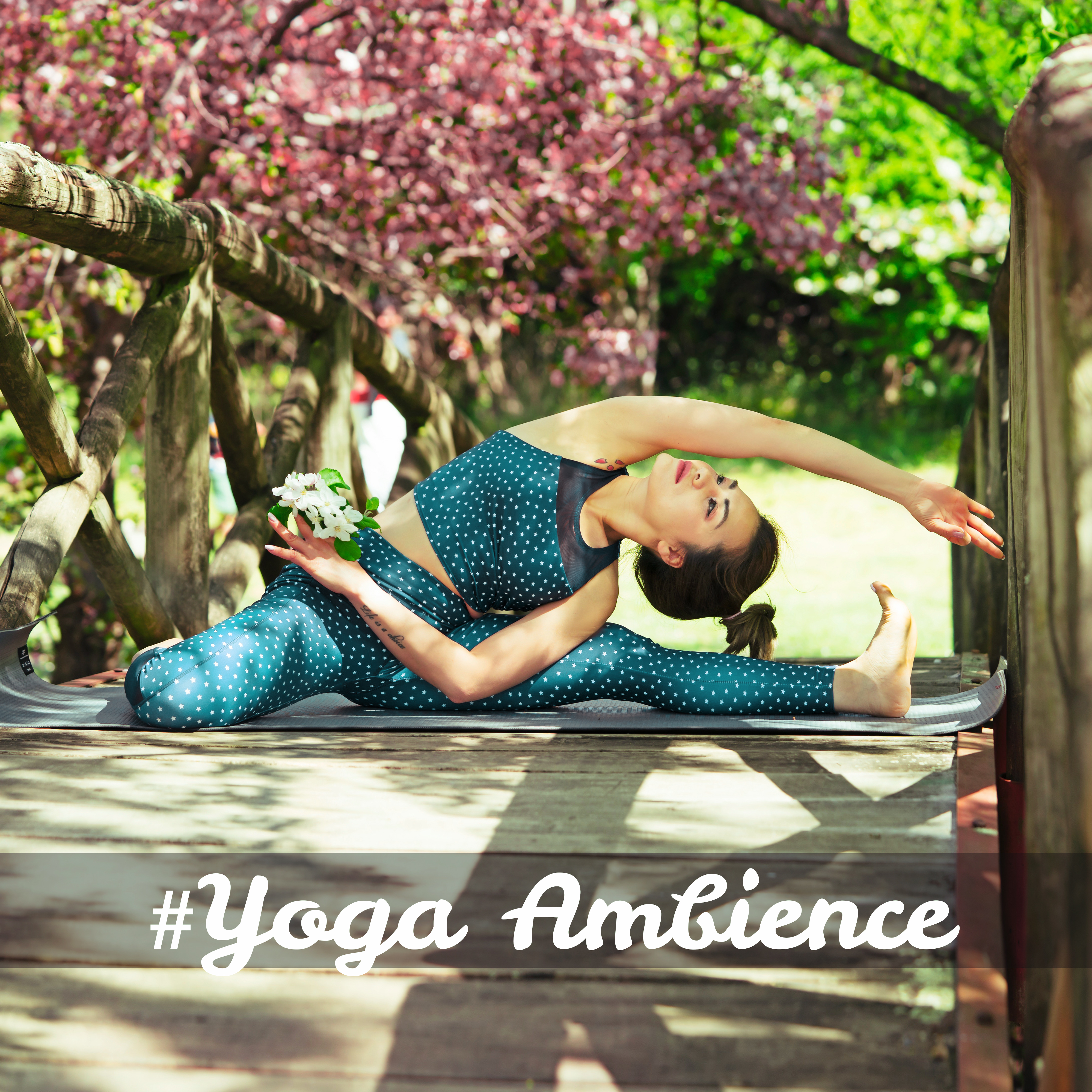 #Yoga Ambience