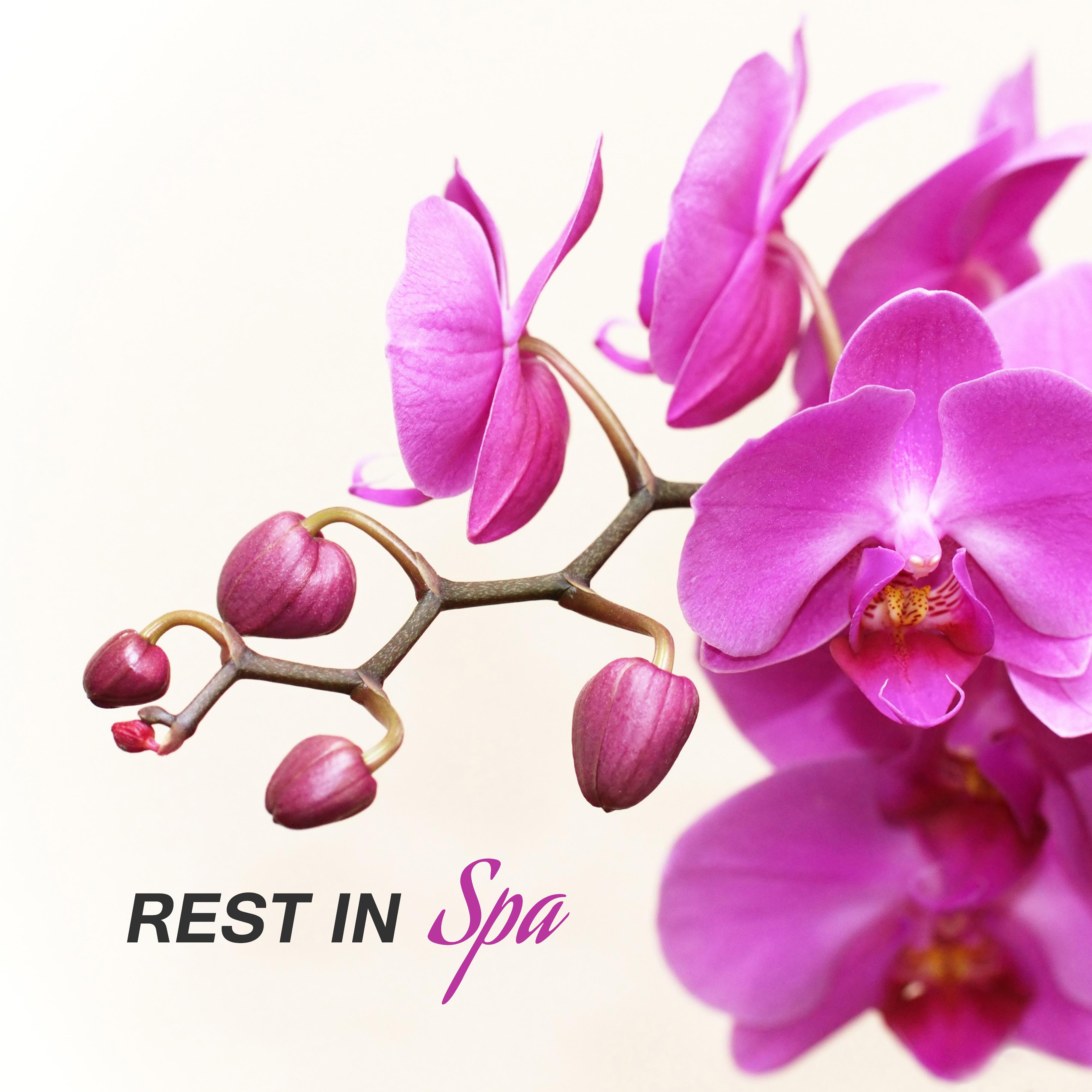 Rest in Spa  Inner Harmony, Massage Music, Relaxation Wellness, Healing Sounds, Stress Relief, Soft Spa Music, Nature Sounds, Tranquility