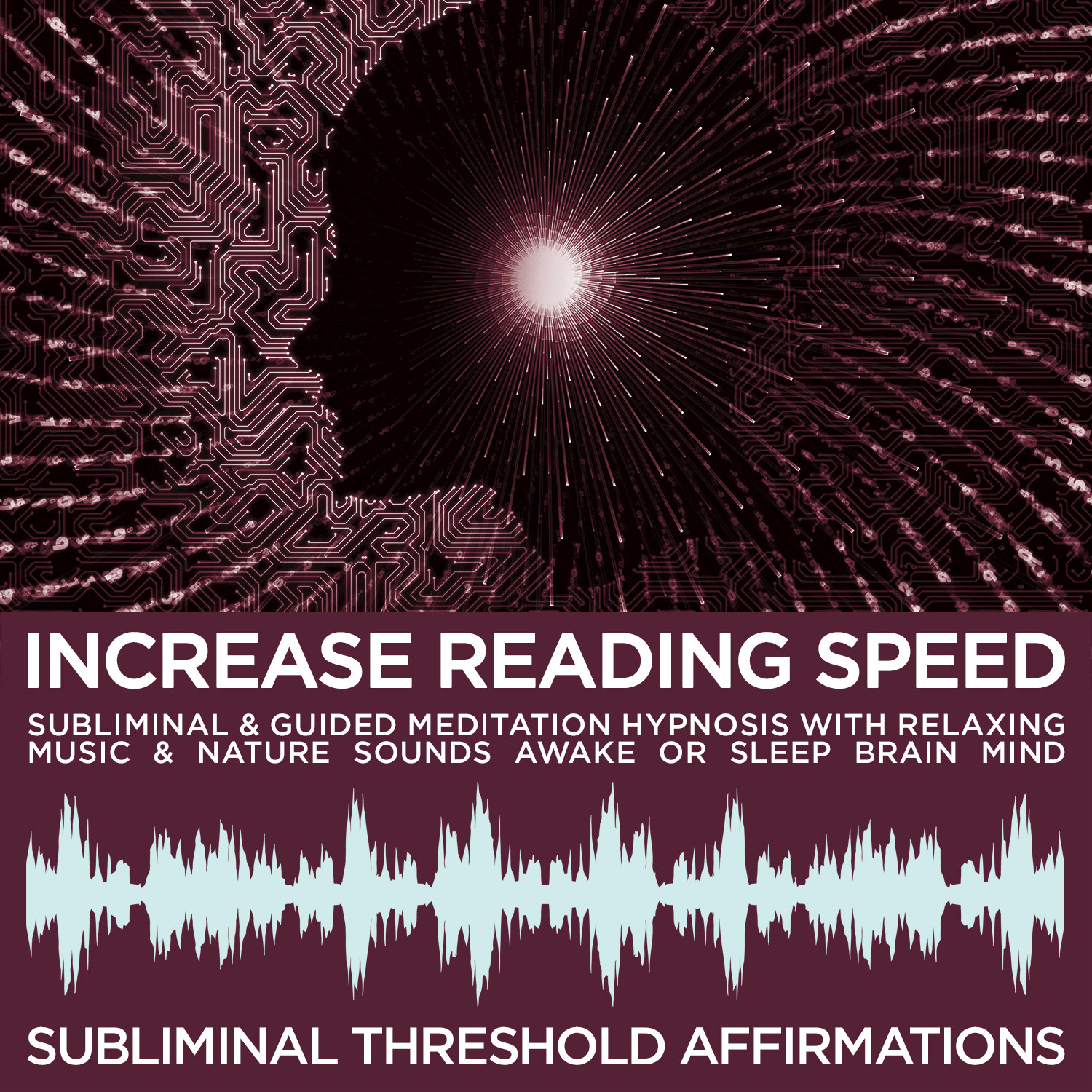 Introduction & Audible Affirmations: Increase Reading Speed