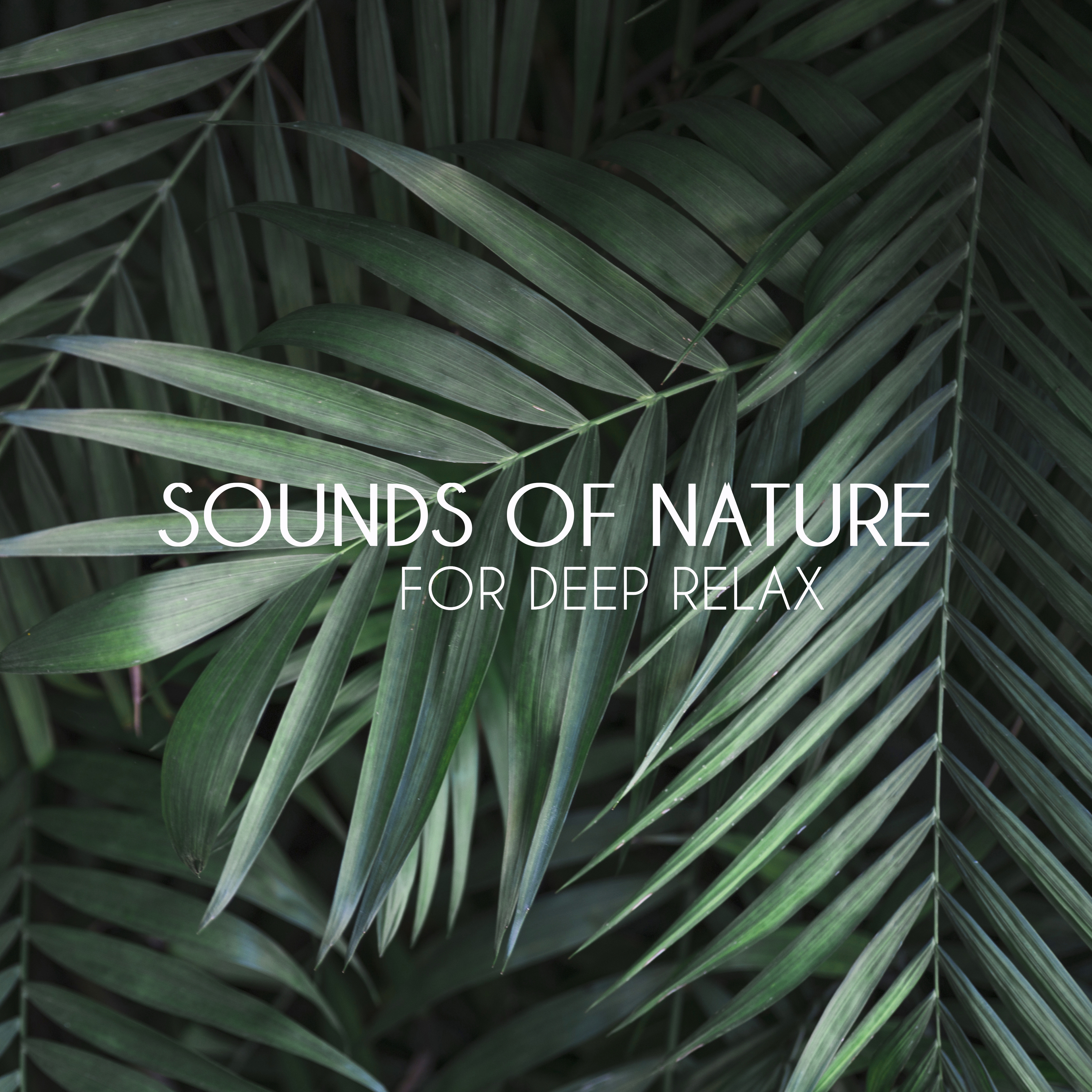 Sounds of Nature for Deep Relax