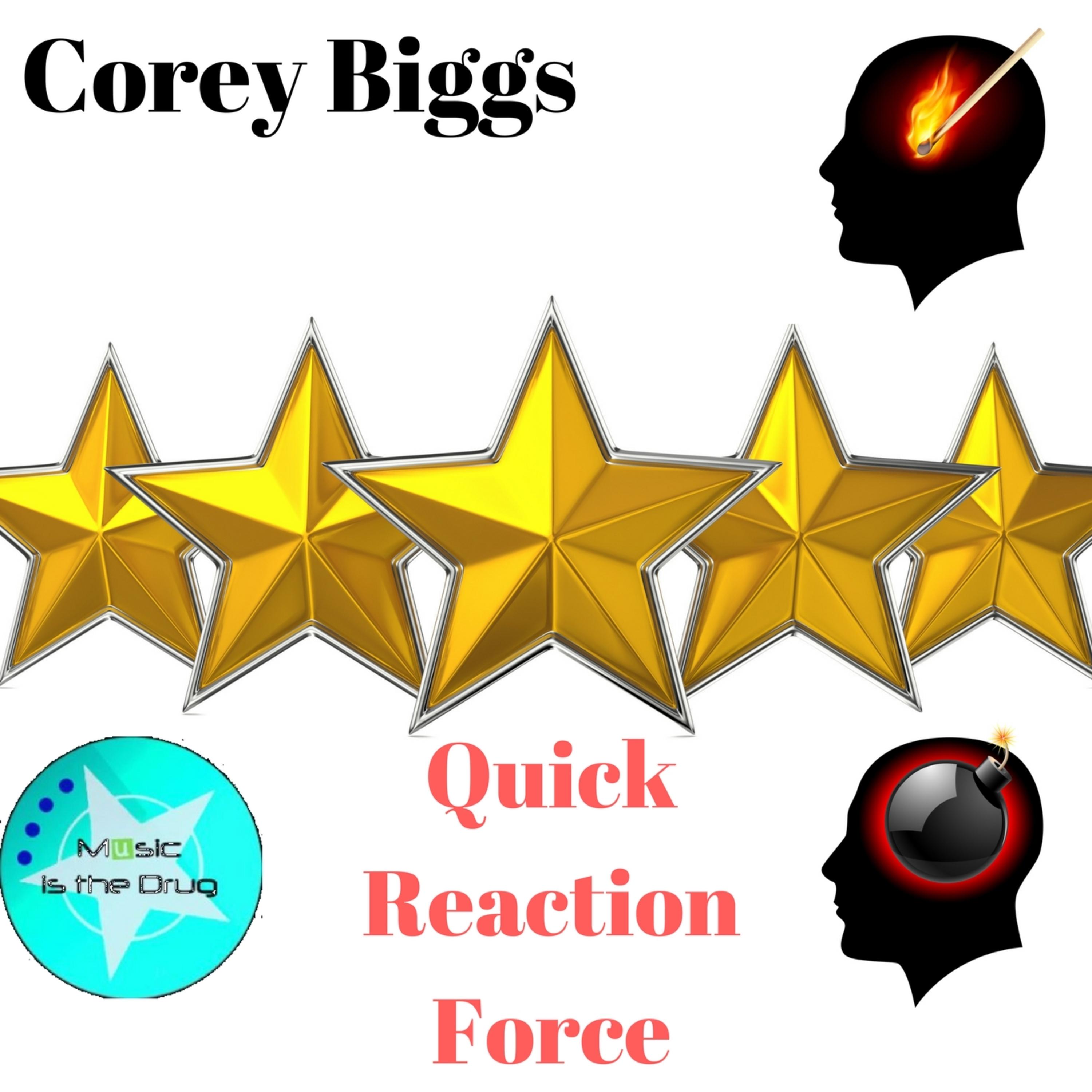 Quick Reaction Force