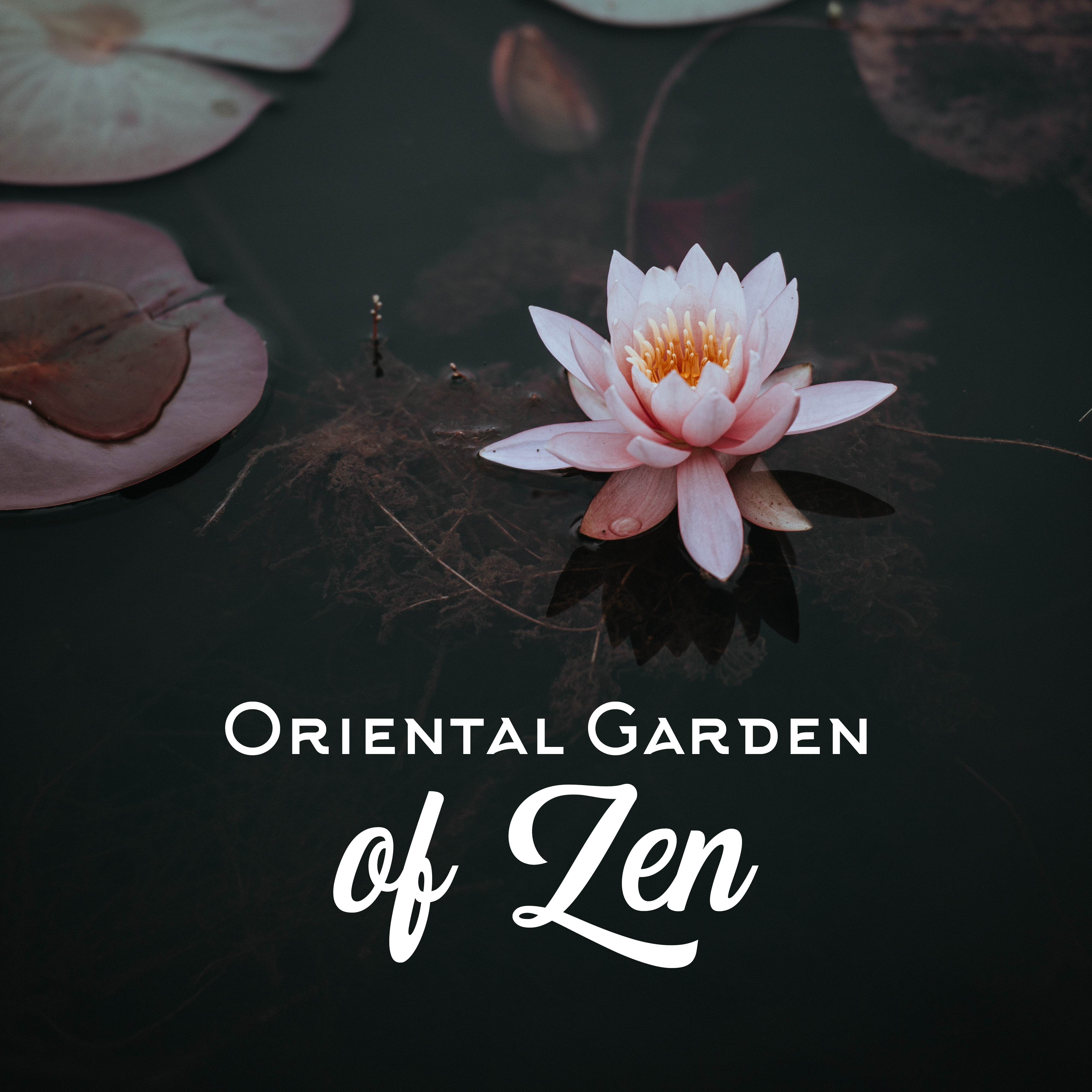 Oriental Garden of Zen: Music for Meditation, Natural Melodies for Spa, Massage Music, Yoga Practice