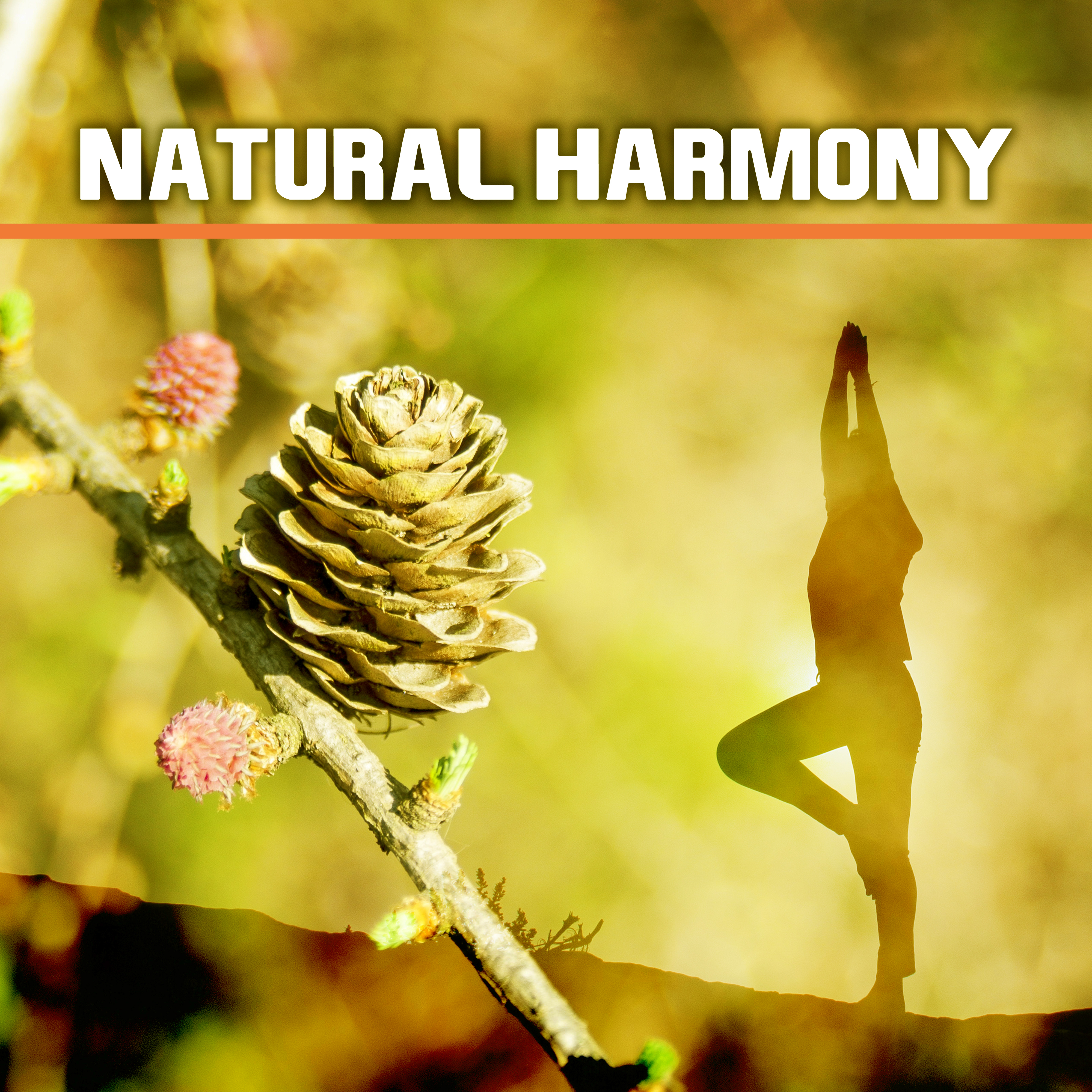 Natural Harmony  Nature Souds, Relaxation, Rest, Relief Stress, Relaxing Music Therapy, New Age