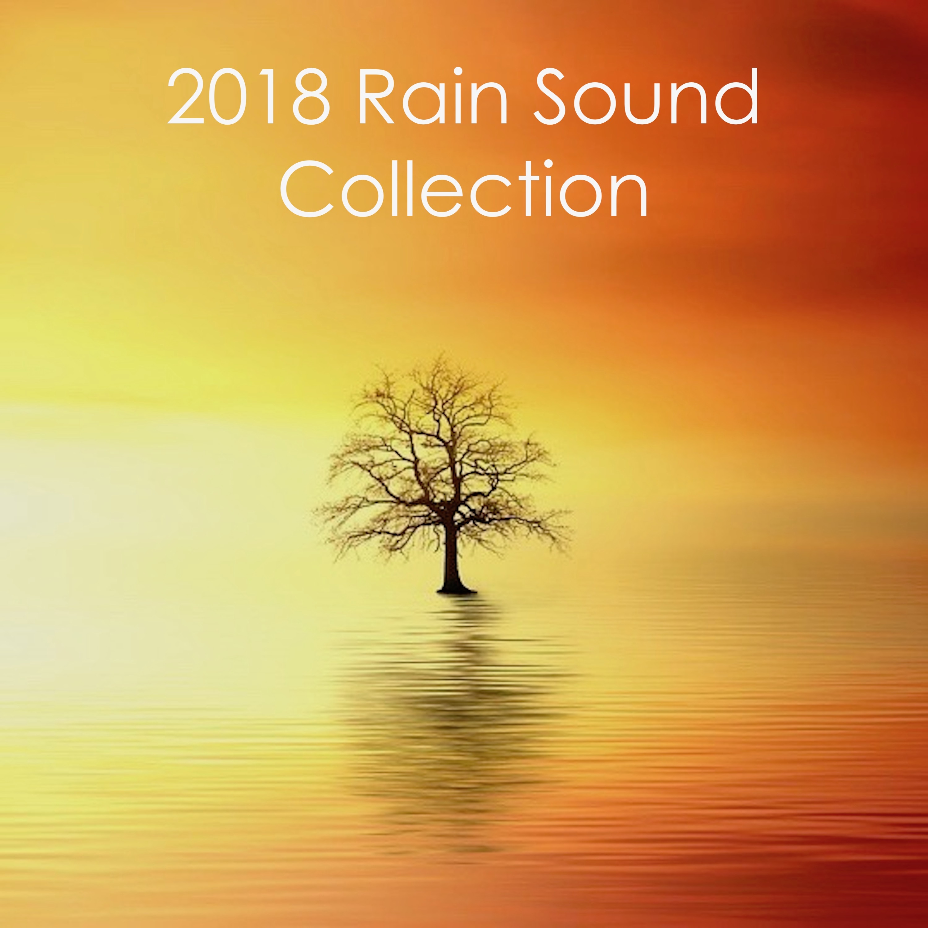 #2018 Rain Sound Collection. Natural Rain Sounds for a Good Night's Sleep