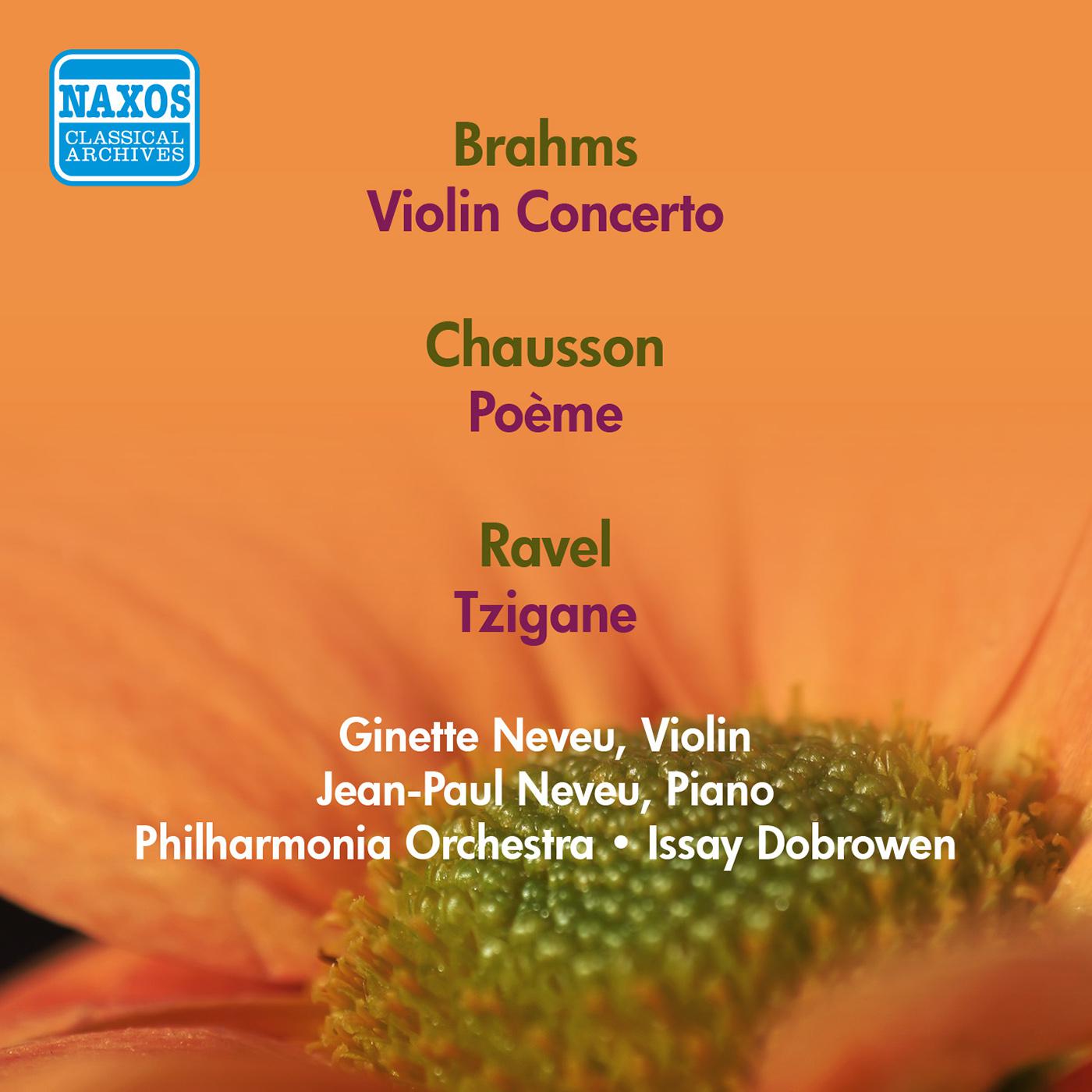 Violin Concerto in D Major, Op. 77:I. Allegro non troppo - Cadenza - Tempo I
