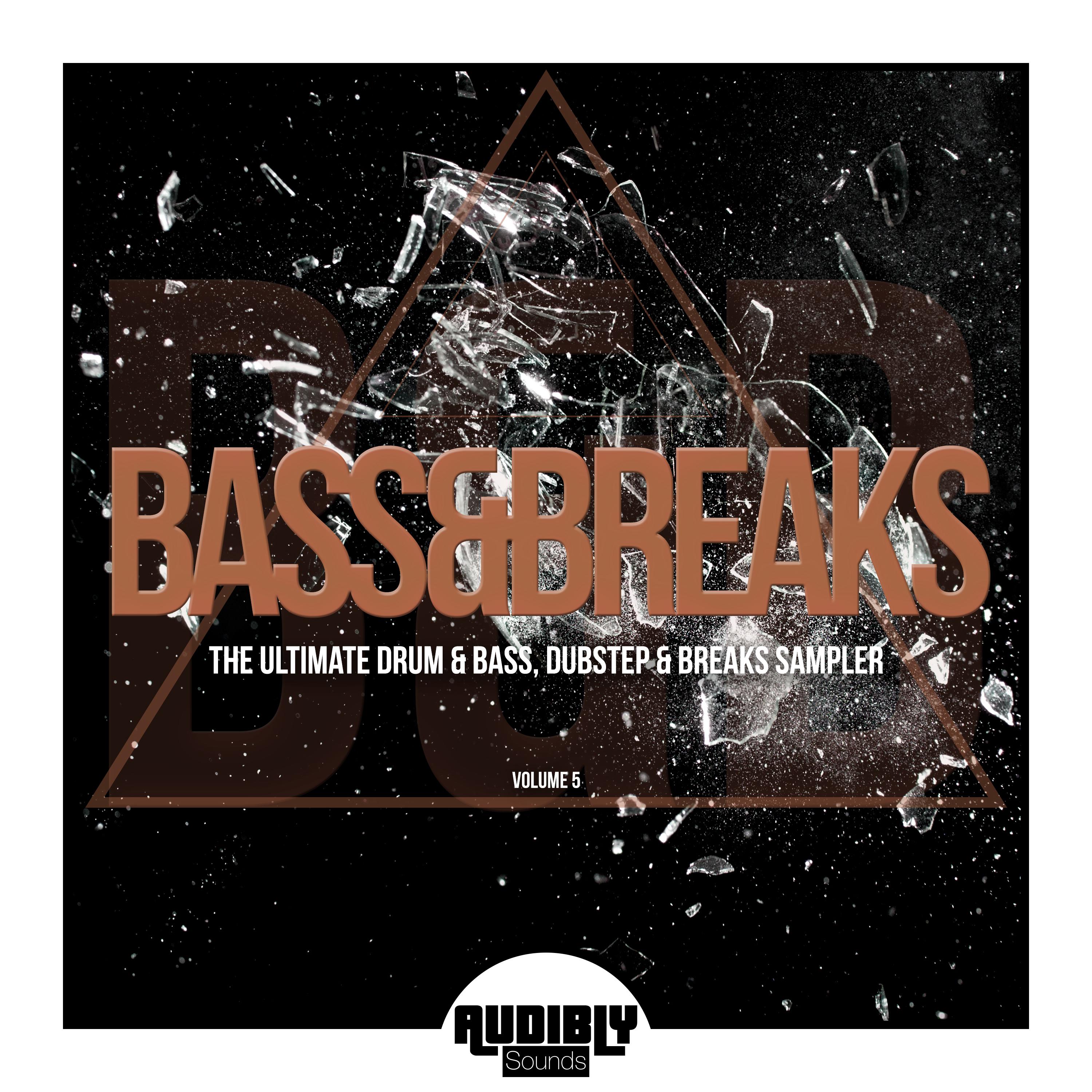Bass & Breaks (The Ultimate Drum & Bass, Dubstep & Breaks Sampler), Vol. 5