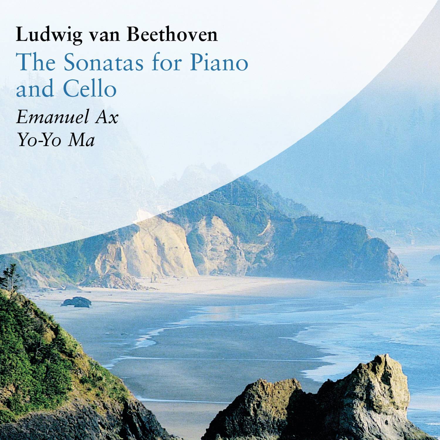 Cello Sonata No. 4 in C Major, Op. 102 No. 1:I. Andante - Allegro vivace