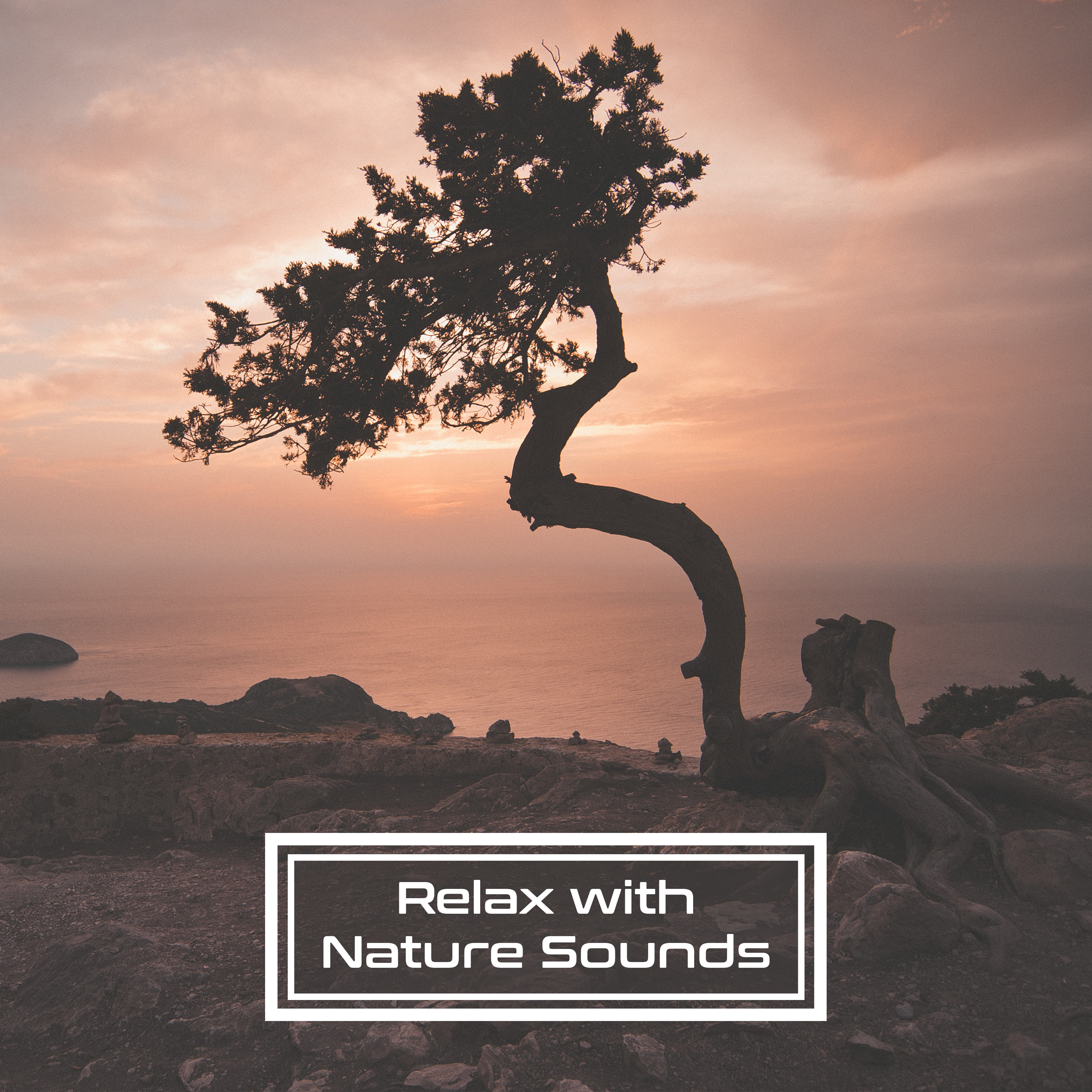 Relax with Nature Sounds  Music for Relaxation, Deep Sleep, Relaxing Waves, Soothing Rain, Birds Sounds, Ambient Music, Pure Mind