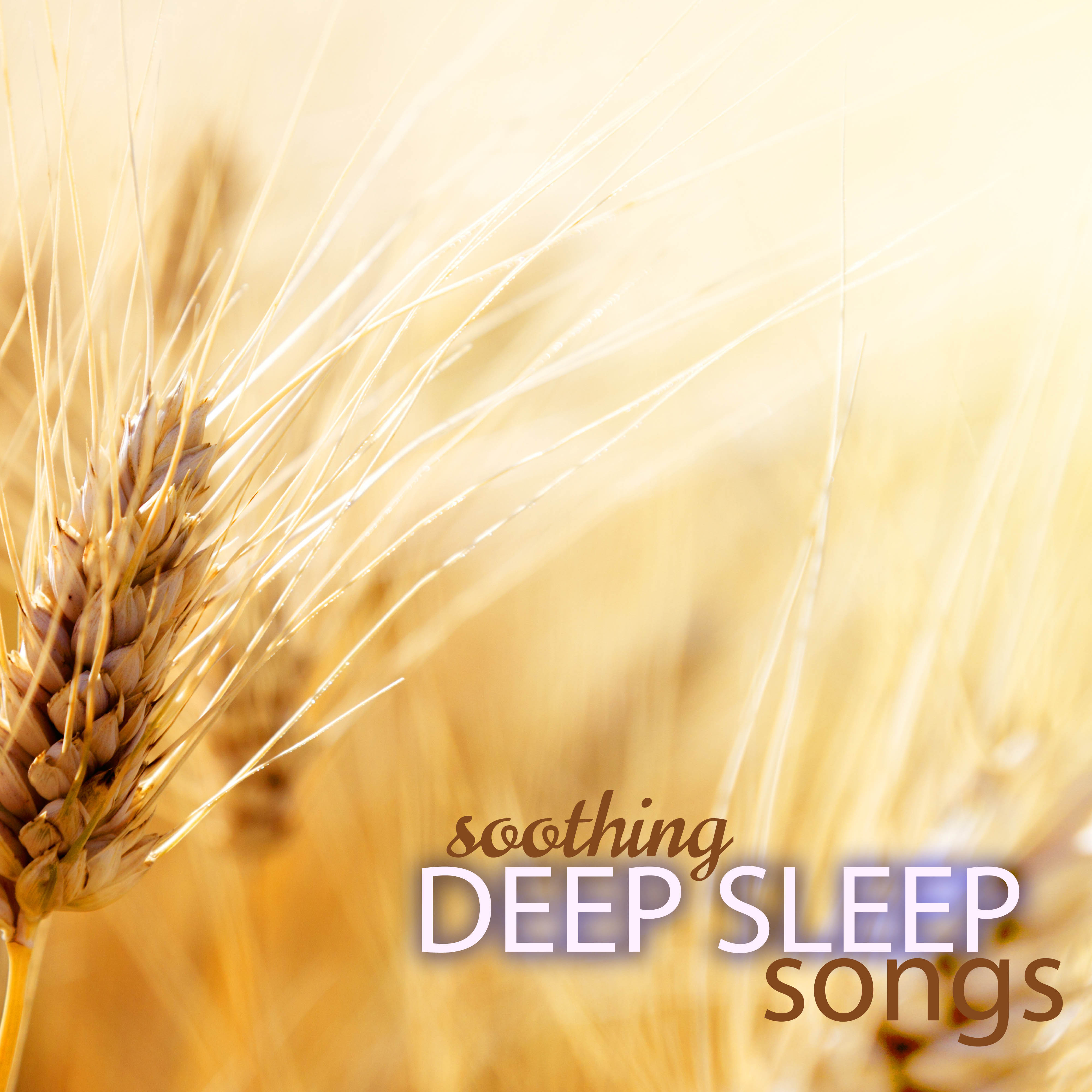 Soothing Deep Sleep Songs to Regulate Sleeping Pattern