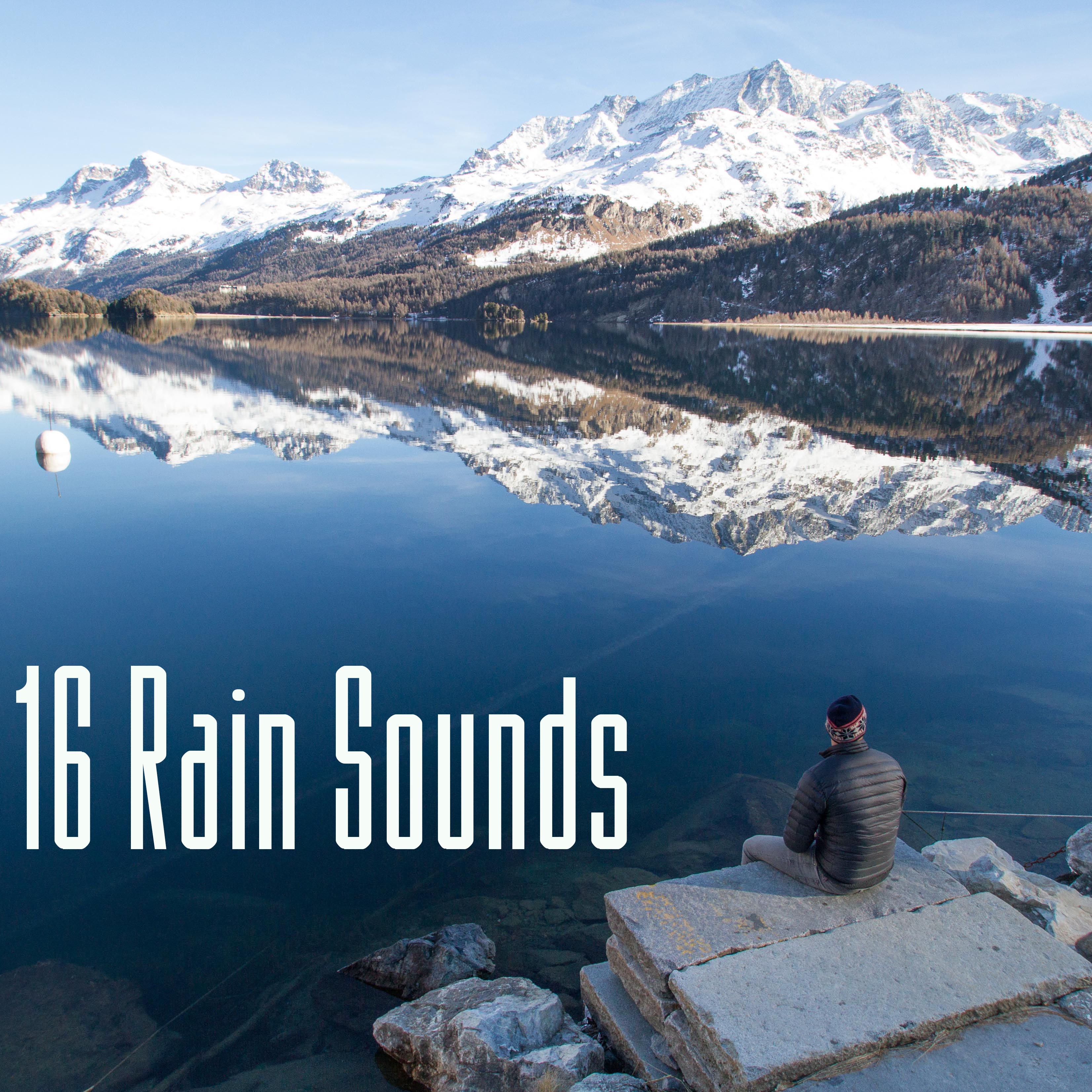 16 Rain Sounds. Nature, Meditation, Sleep