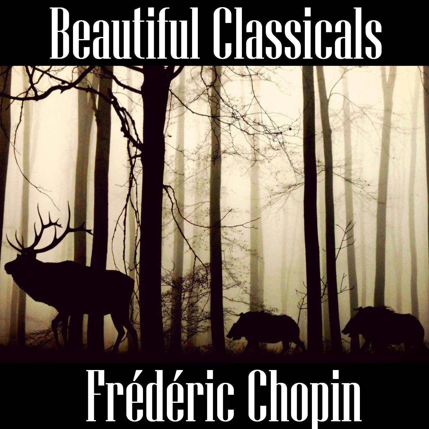 Beautiful Classicals: Fre de ric Chopin