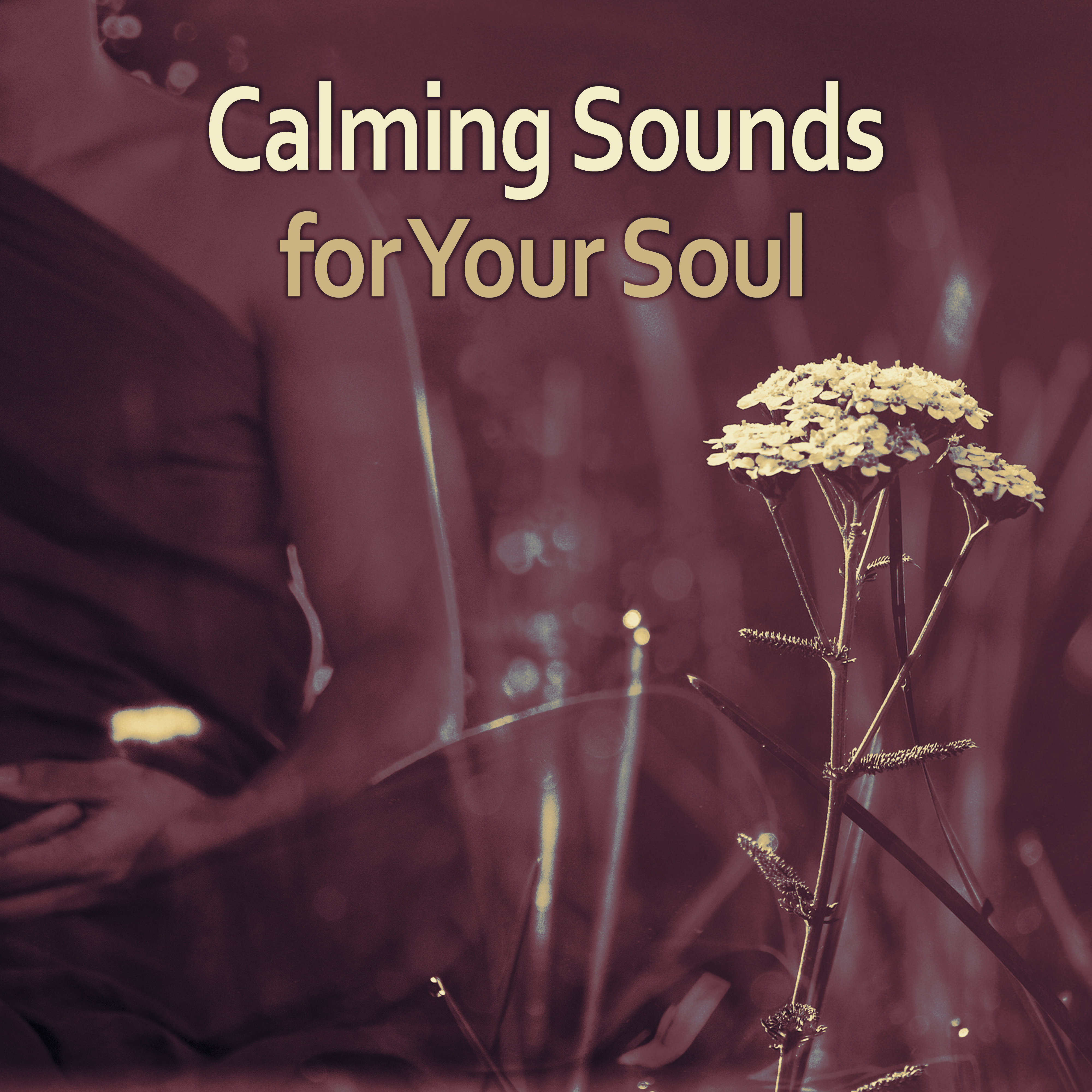 Calming Sounds for Your Soul  Meditation Awareness, Buddha Lounge, Relaxing Sounds, Inner Silence
