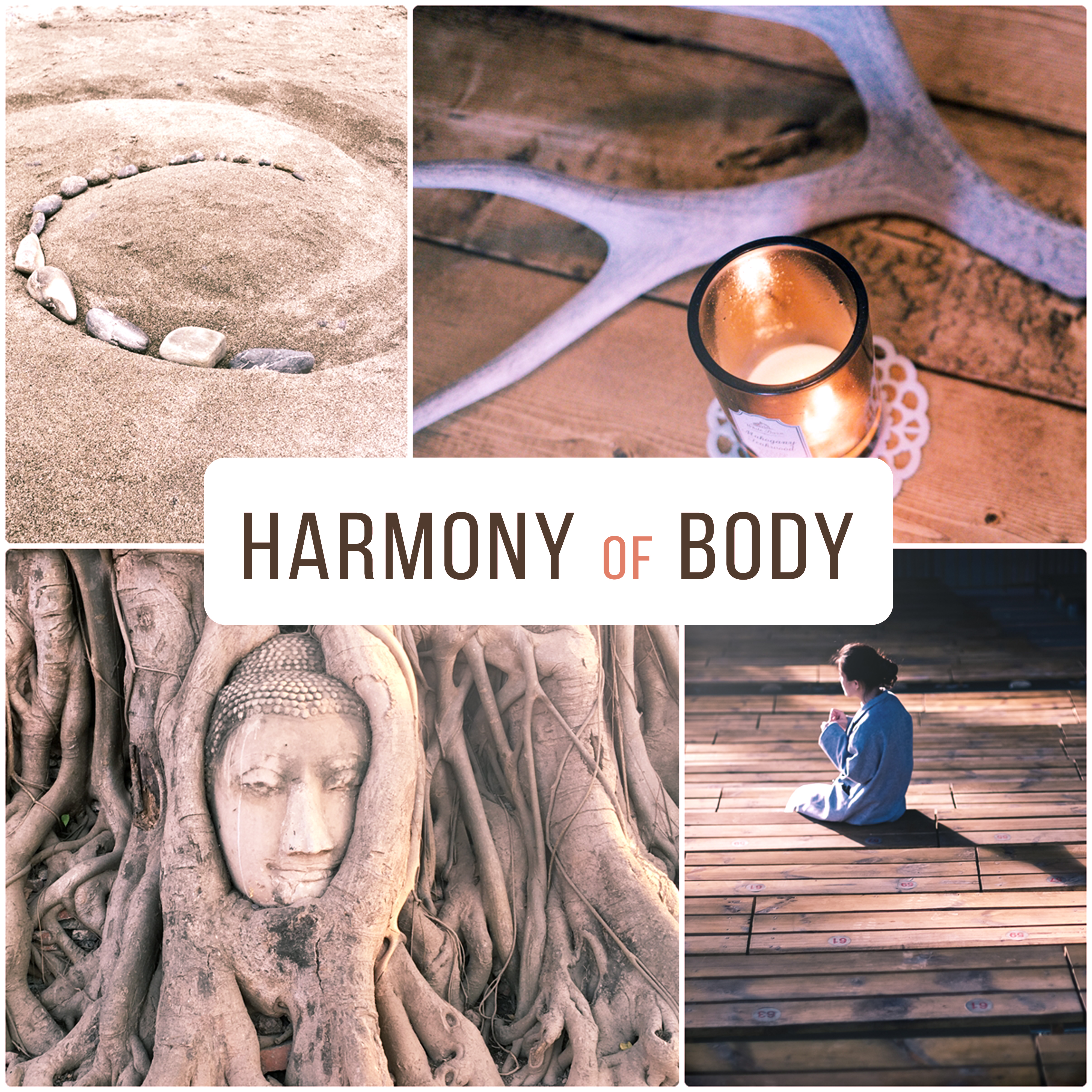 Harmony of Body  Meditation Music, Nature Sounds, Deep Relief, Pure Mind, Deep Concentration, Tranquility