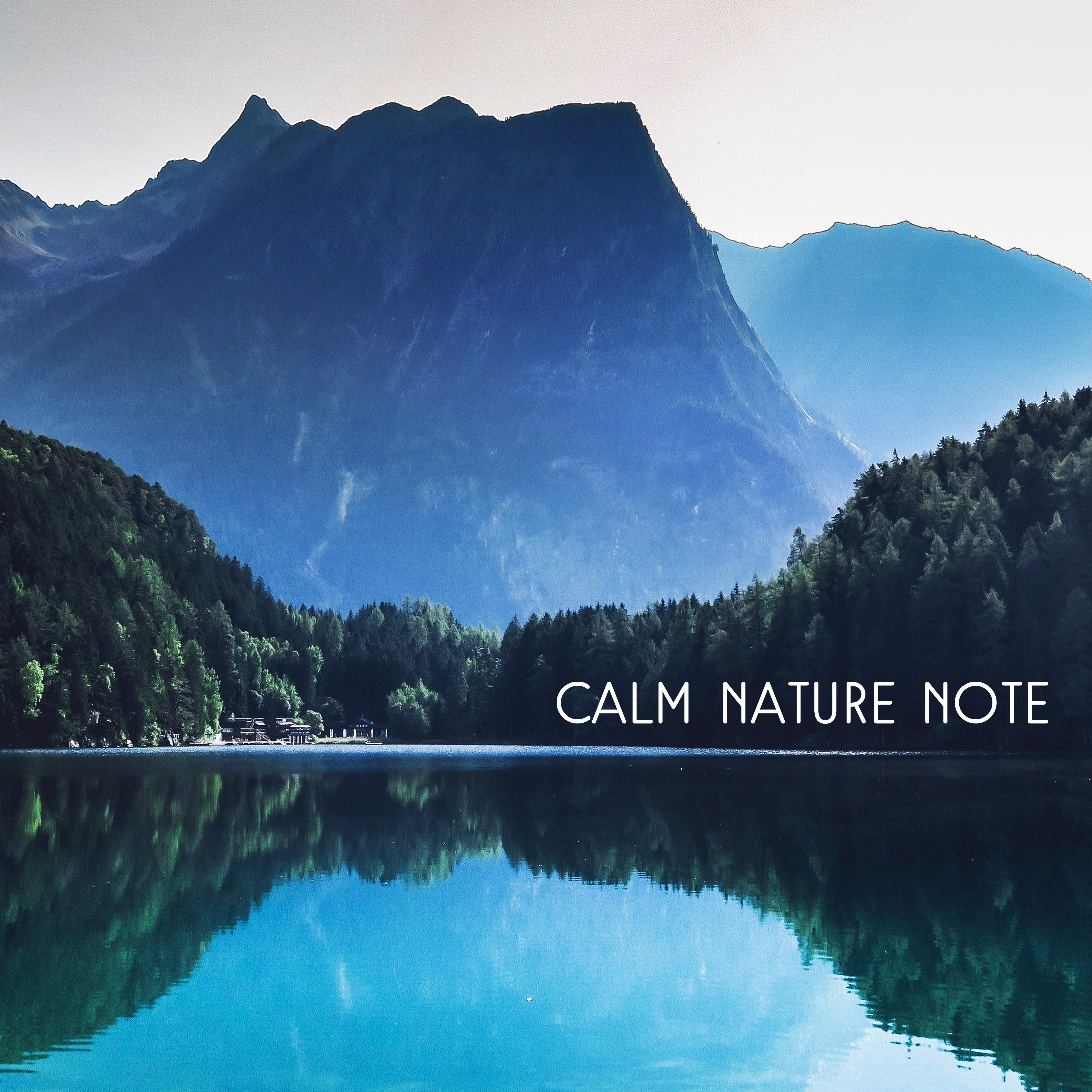 Calm Nature Note