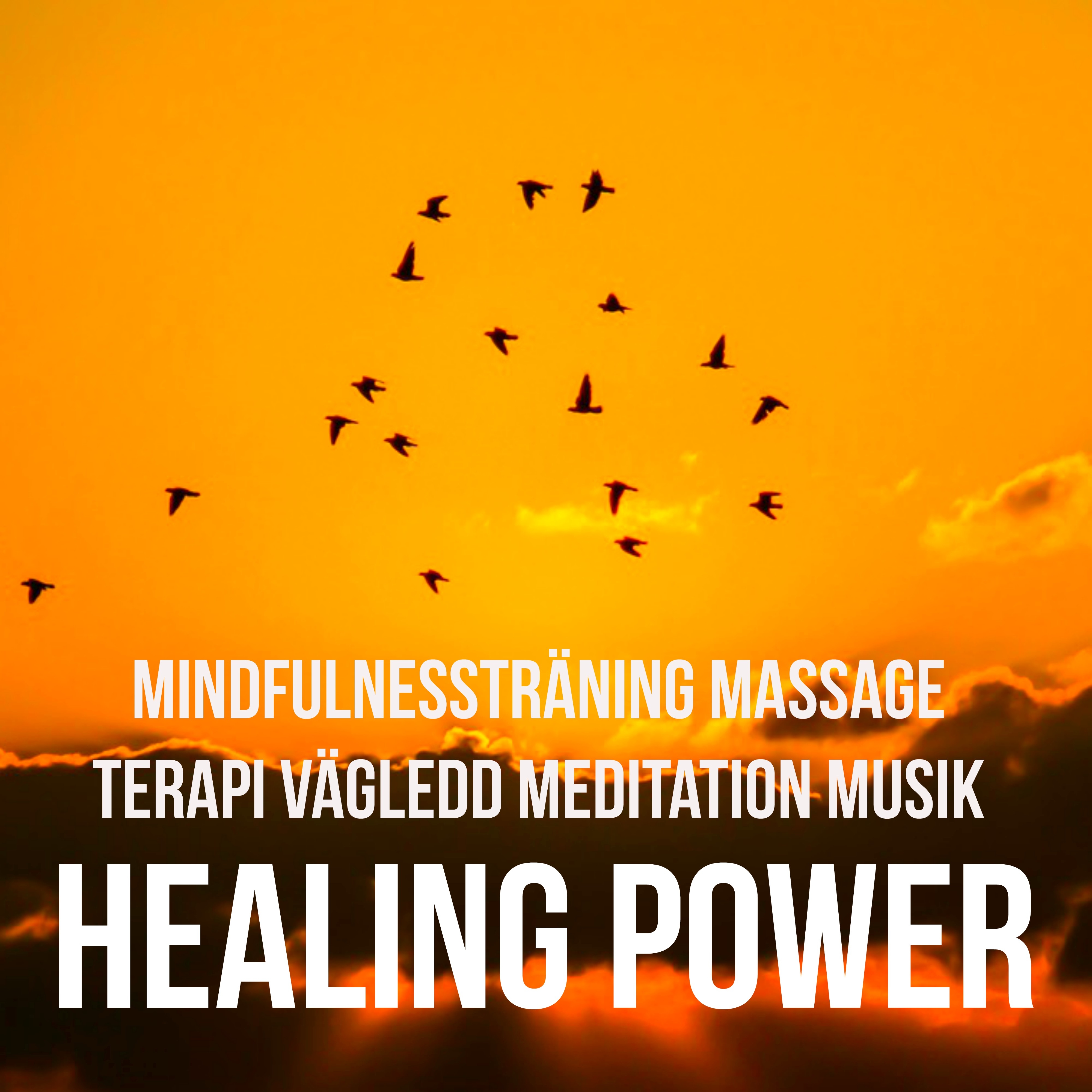 Healing Power  Mindfulnesstr ning Massage Terapi V gledd Meditation Musik med Instrumental New Age Lugn Ljud
