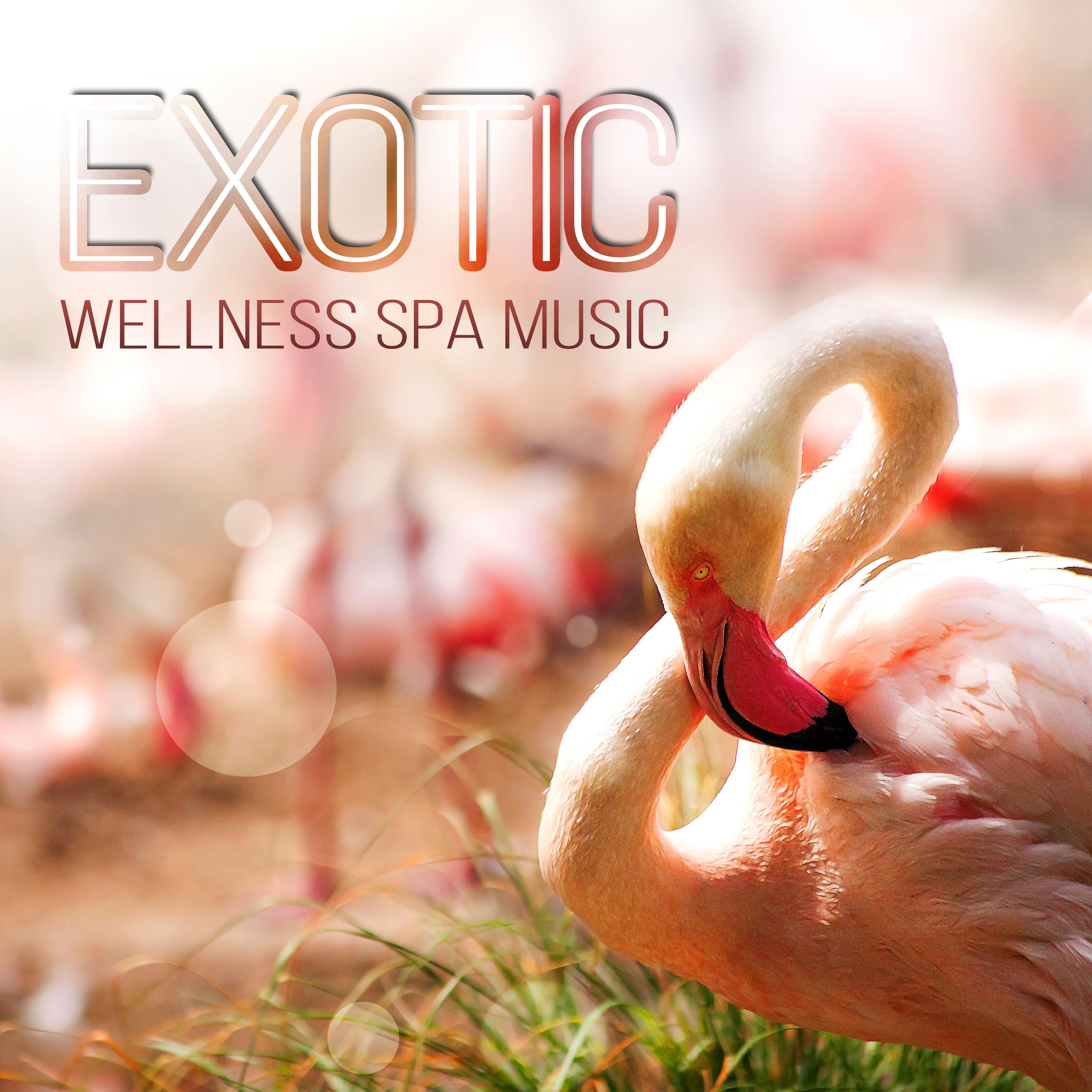 Exotic Wellness Spa Music  New Age Songs for Spa Breaks, Relaxation  Meditation, Sound Therapy, Massage, Reiki, Stress Relief  Well Being