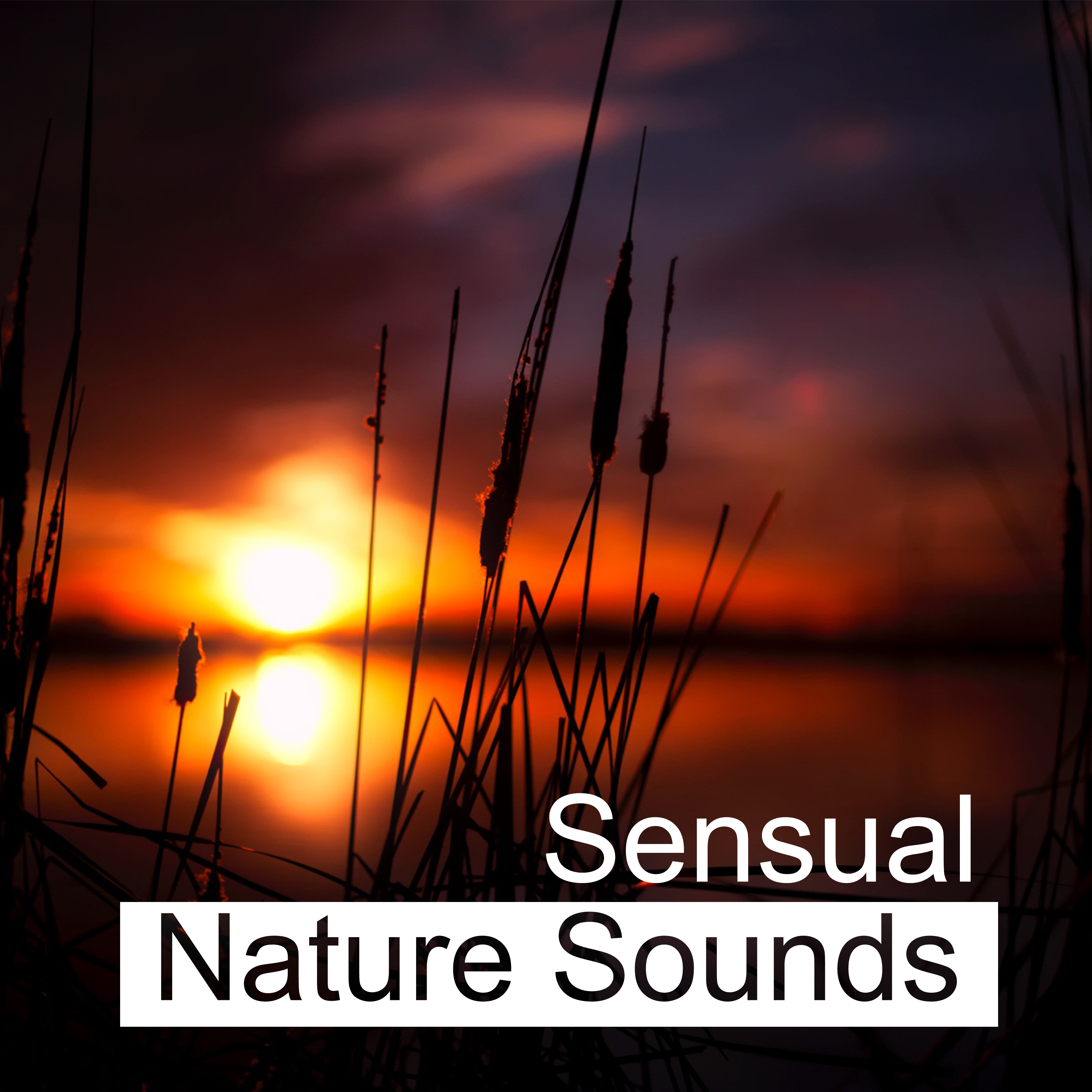 Sensual Nature Sounds  Calming Waves, Harmony Soul, Inner Silence, Peaceful Sounds to Rest, New Age Music