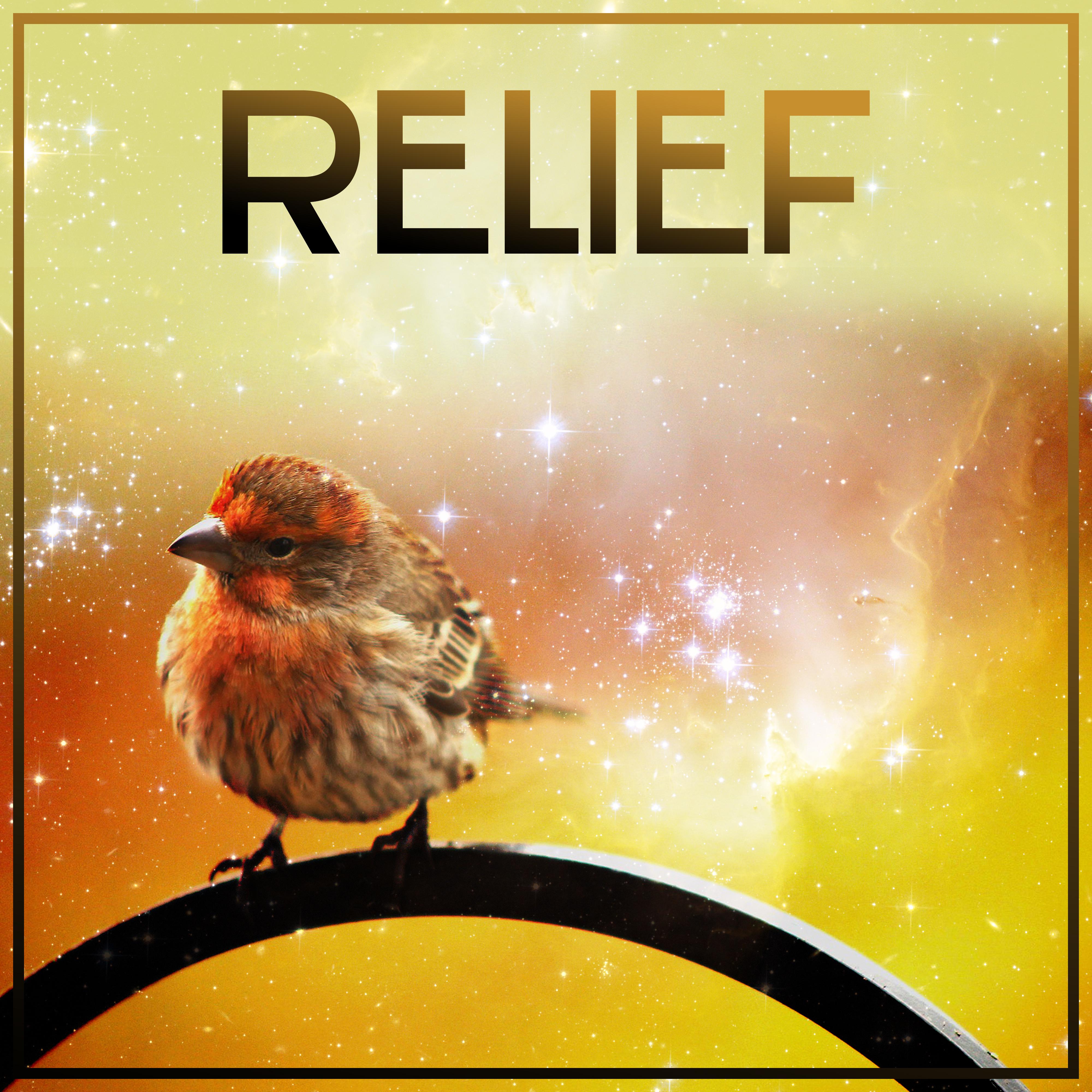 Relief  Nature Sounds for Relaxation, Deep Sleep, Stress Free, Healing Water, Relaxing Waves, Sounds of Sea, Rest, Peaceful Mind