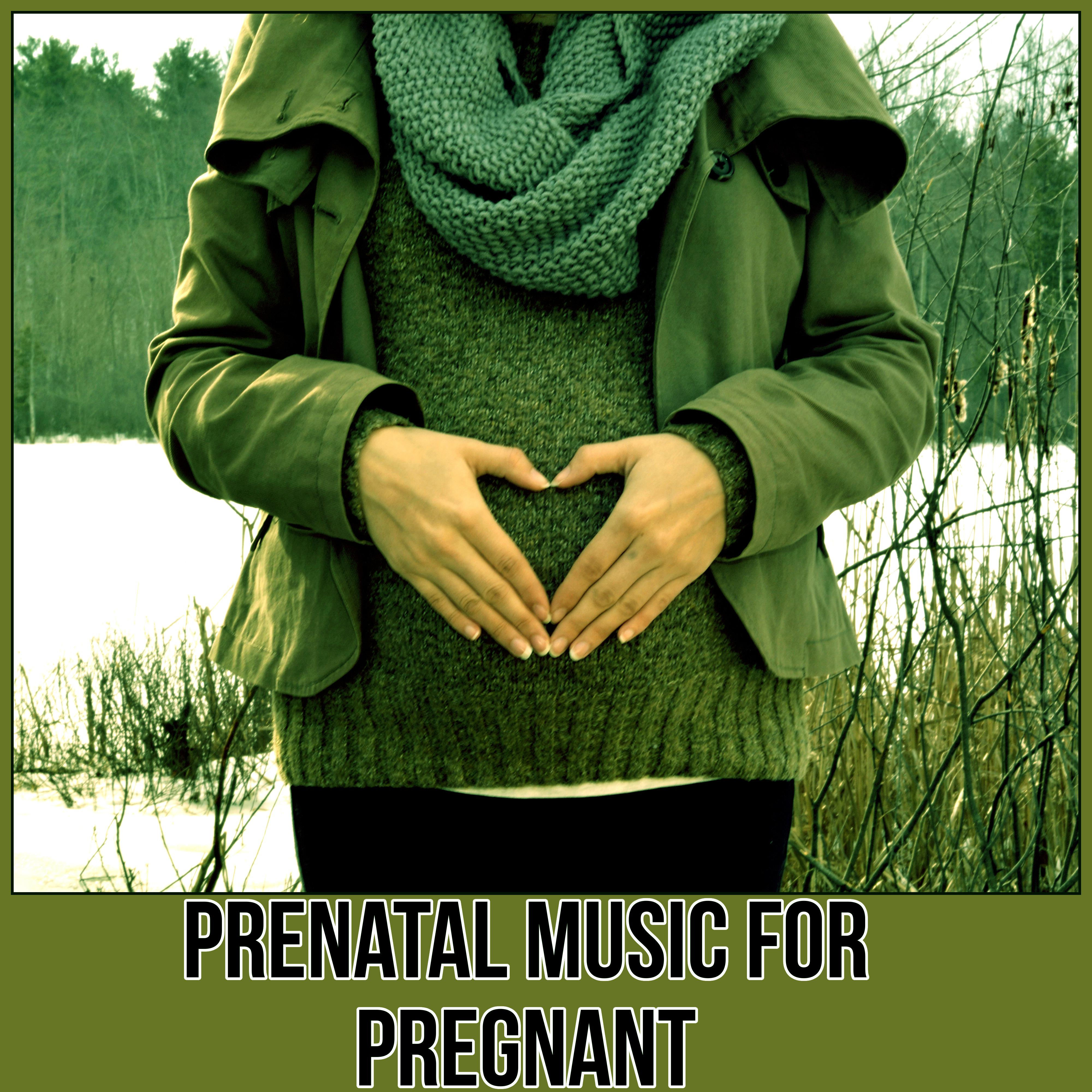 Prenatal Music for Pregnant  My Little Baby, Baby Delivery Songs of Nature, Essential Sleeping Music, Music for Natural Childbirth