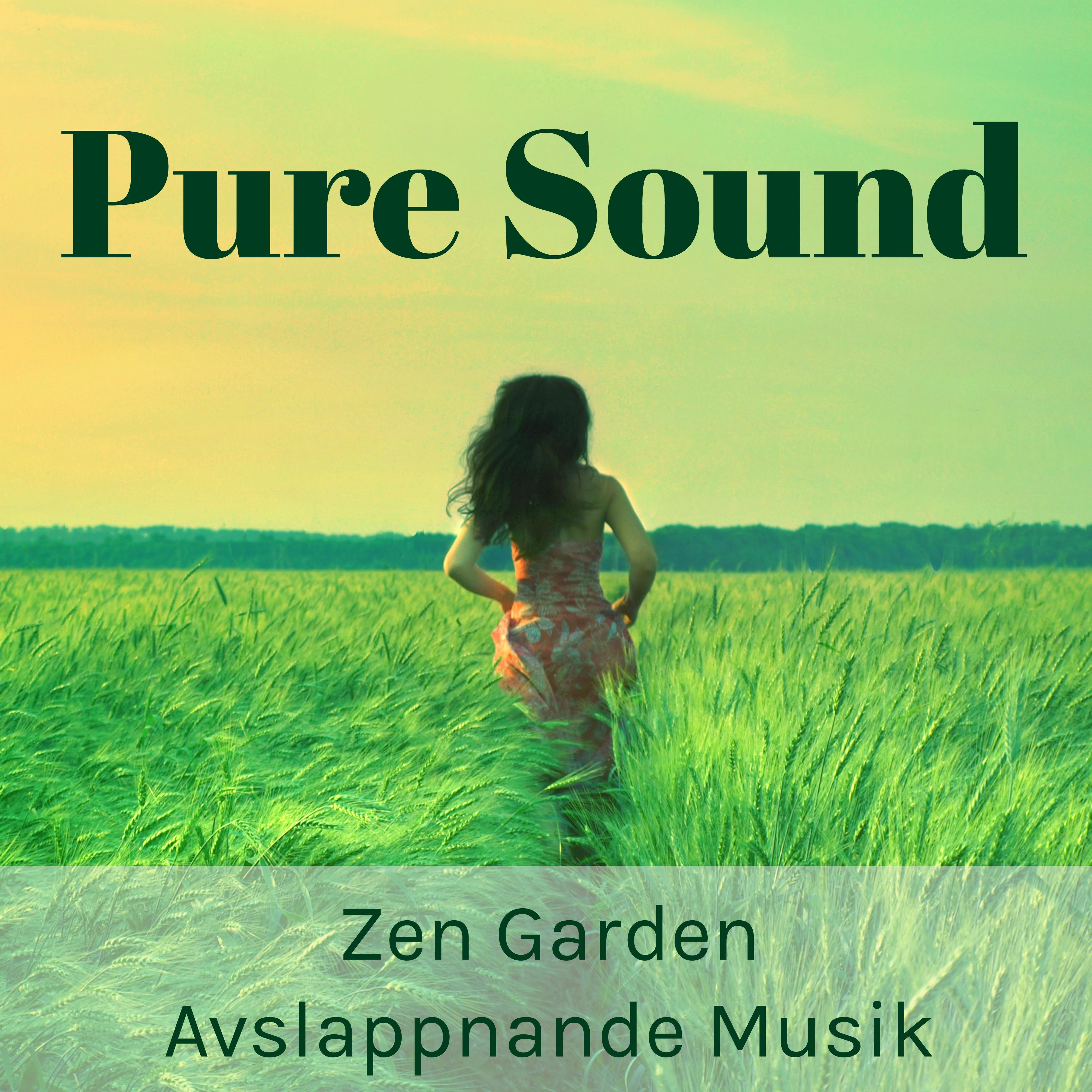 Pure Sound  Zen Garden Avslappnande Musik f r Meditationstekniker Biofeedback Terapi med Lugn Instrumental New Age Ljud