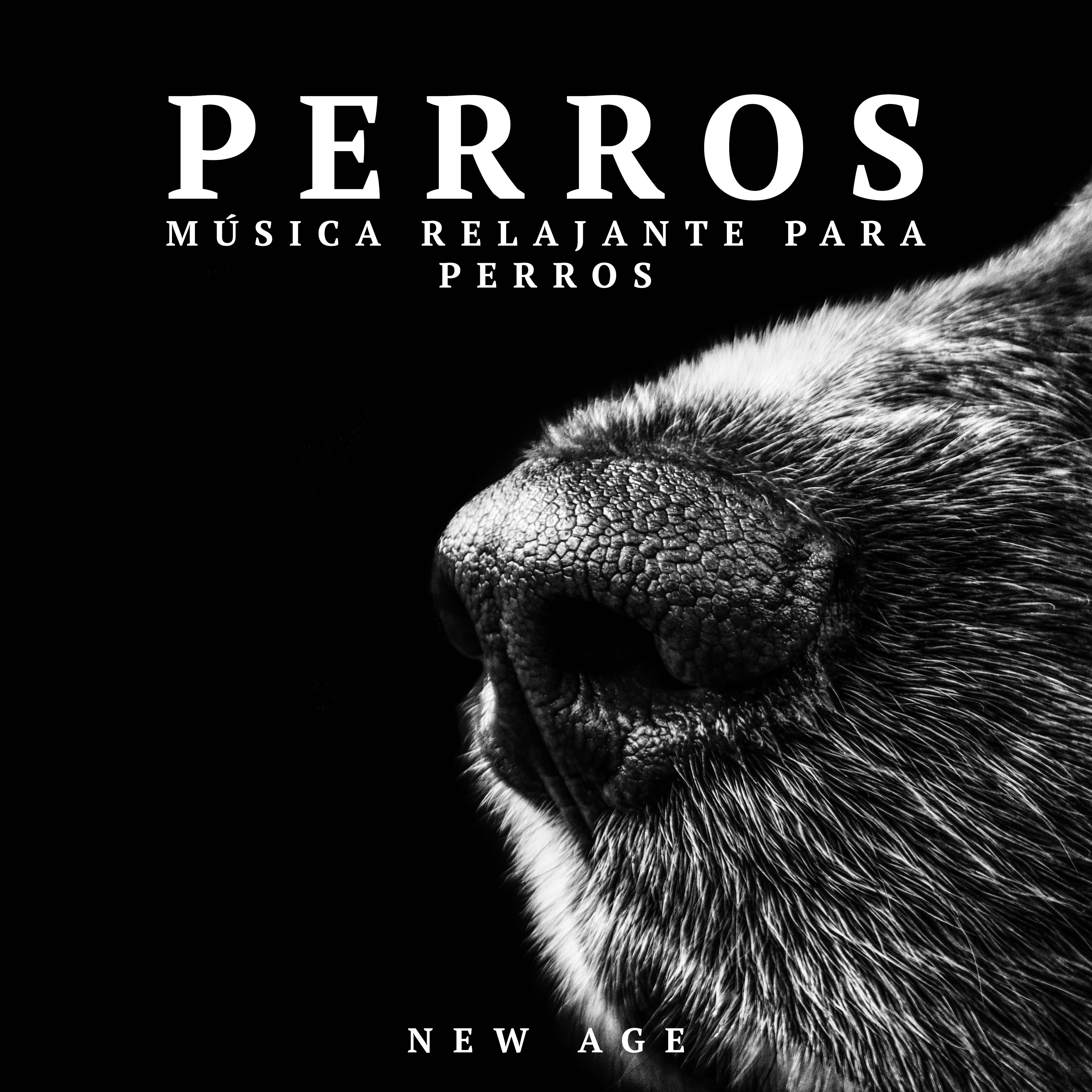 Perros: Musica Relajante para Perros (Sonidos de la Naturaleza)