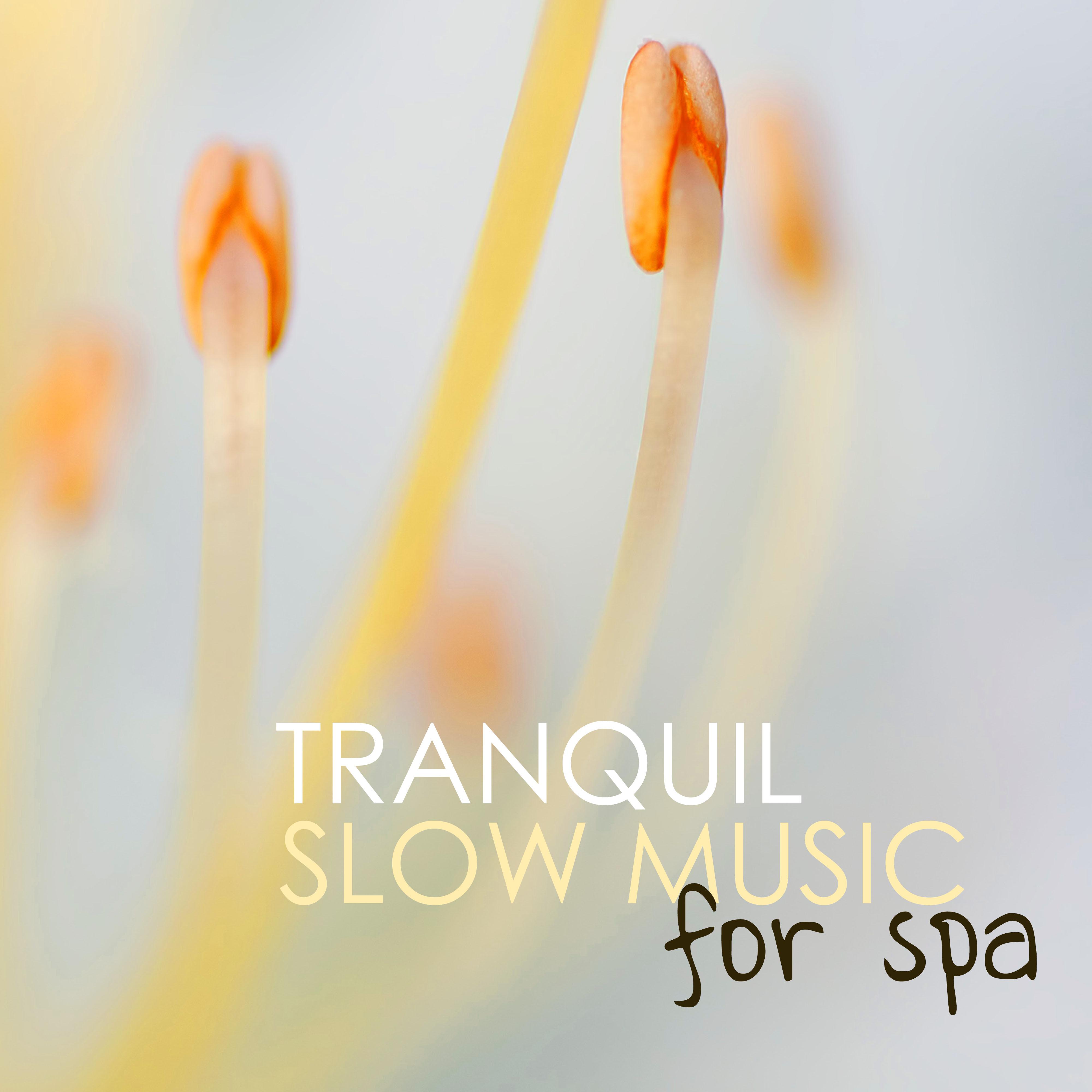 Tranquil Slow Music for Spa - Tranquility Wellness Songs for Serenity and Hotel Sauna Relaxation