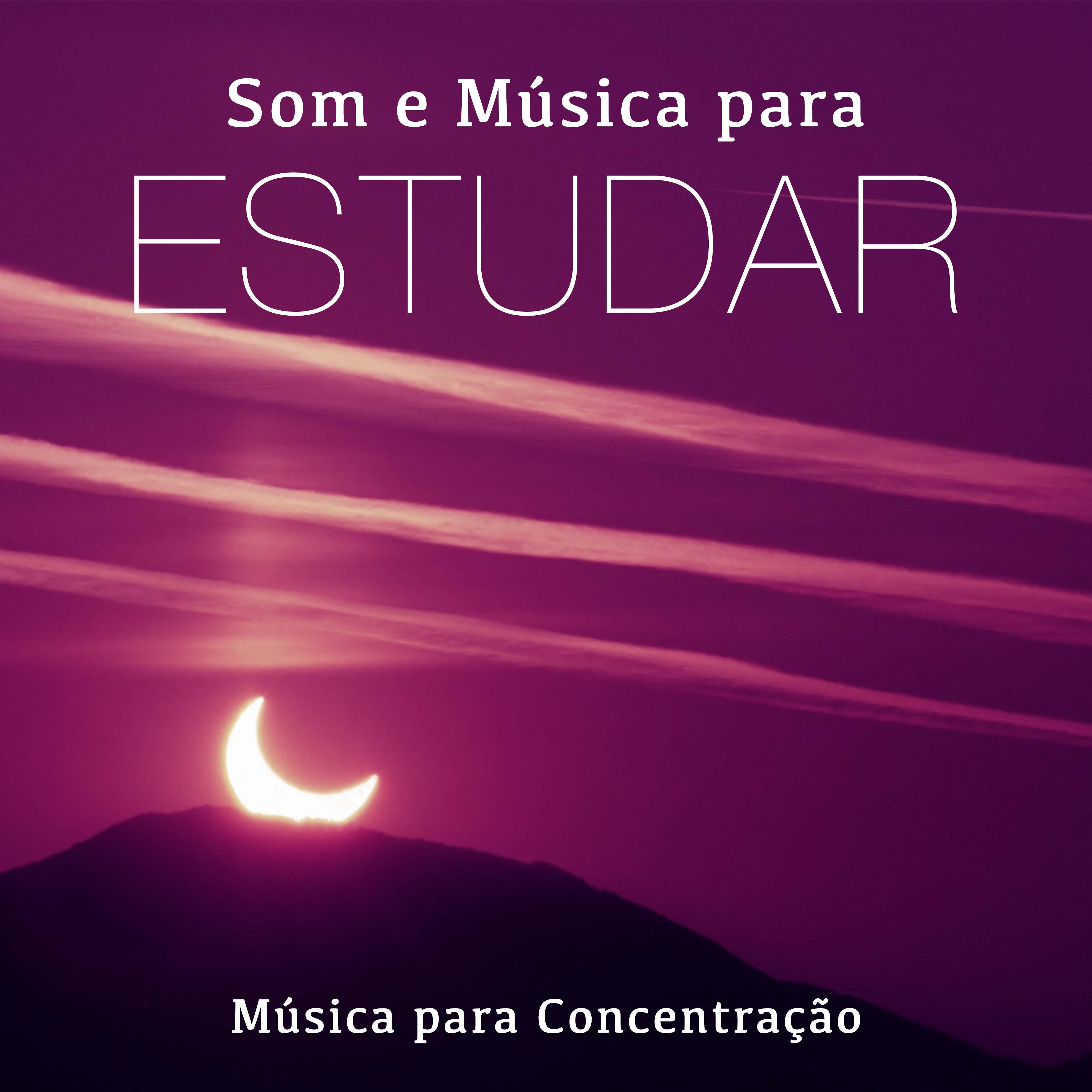 Som e Musica para Estudar  Musica para Concentra o Instrumental Relaxante