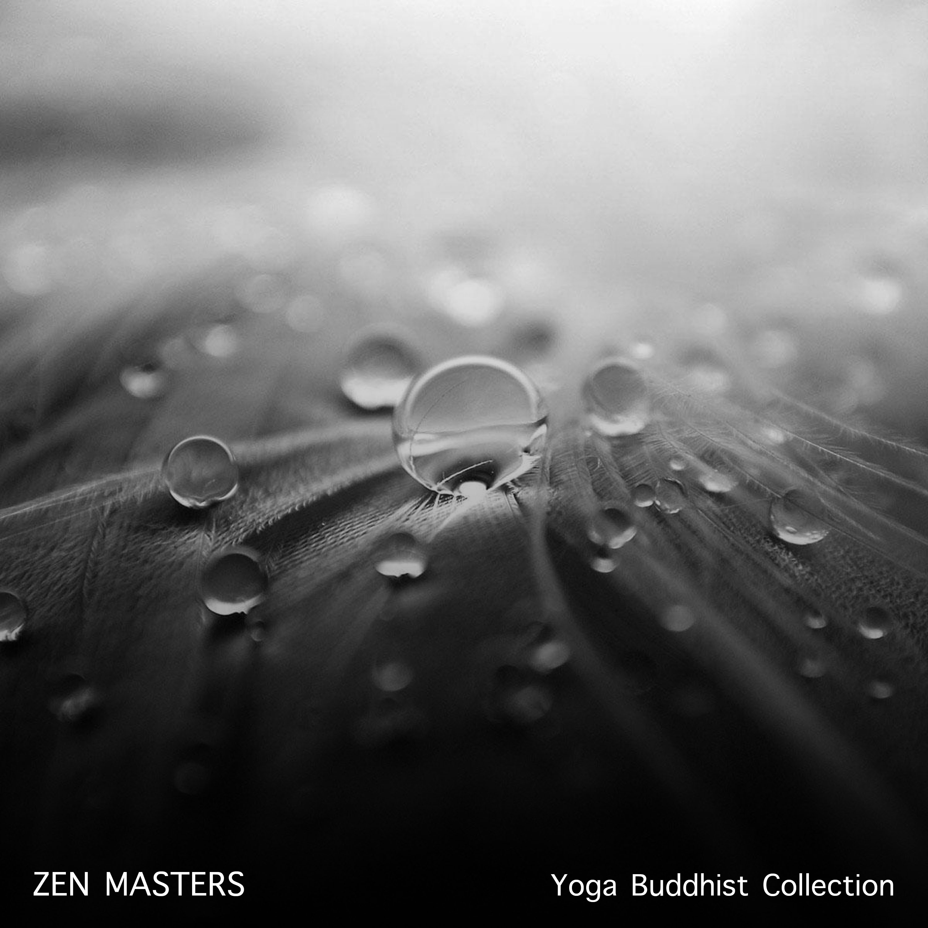 15 Zen Masters Songs: The Yoga Buddhist Collection