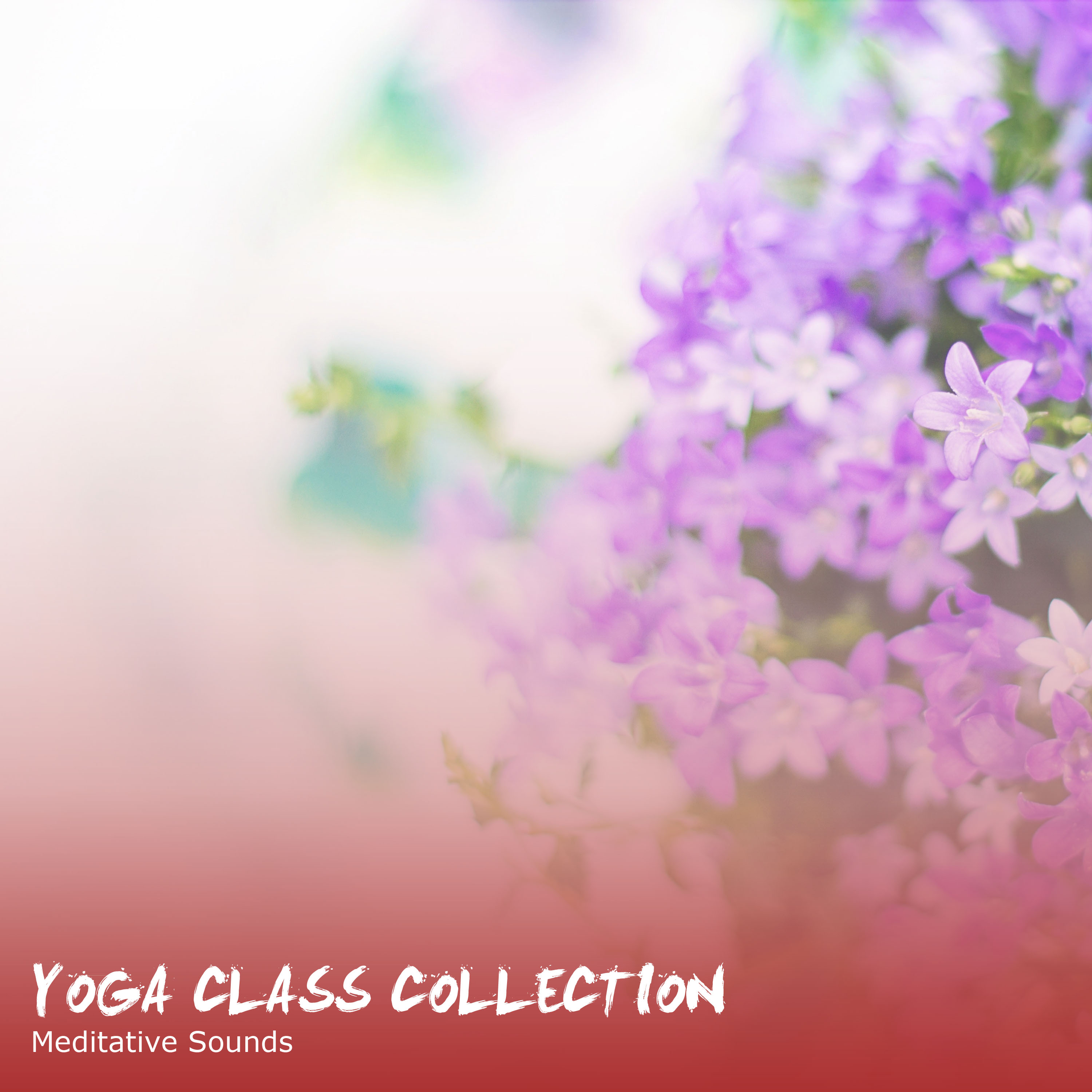 2018 A Yoga Class Collection: Meditative Sounds