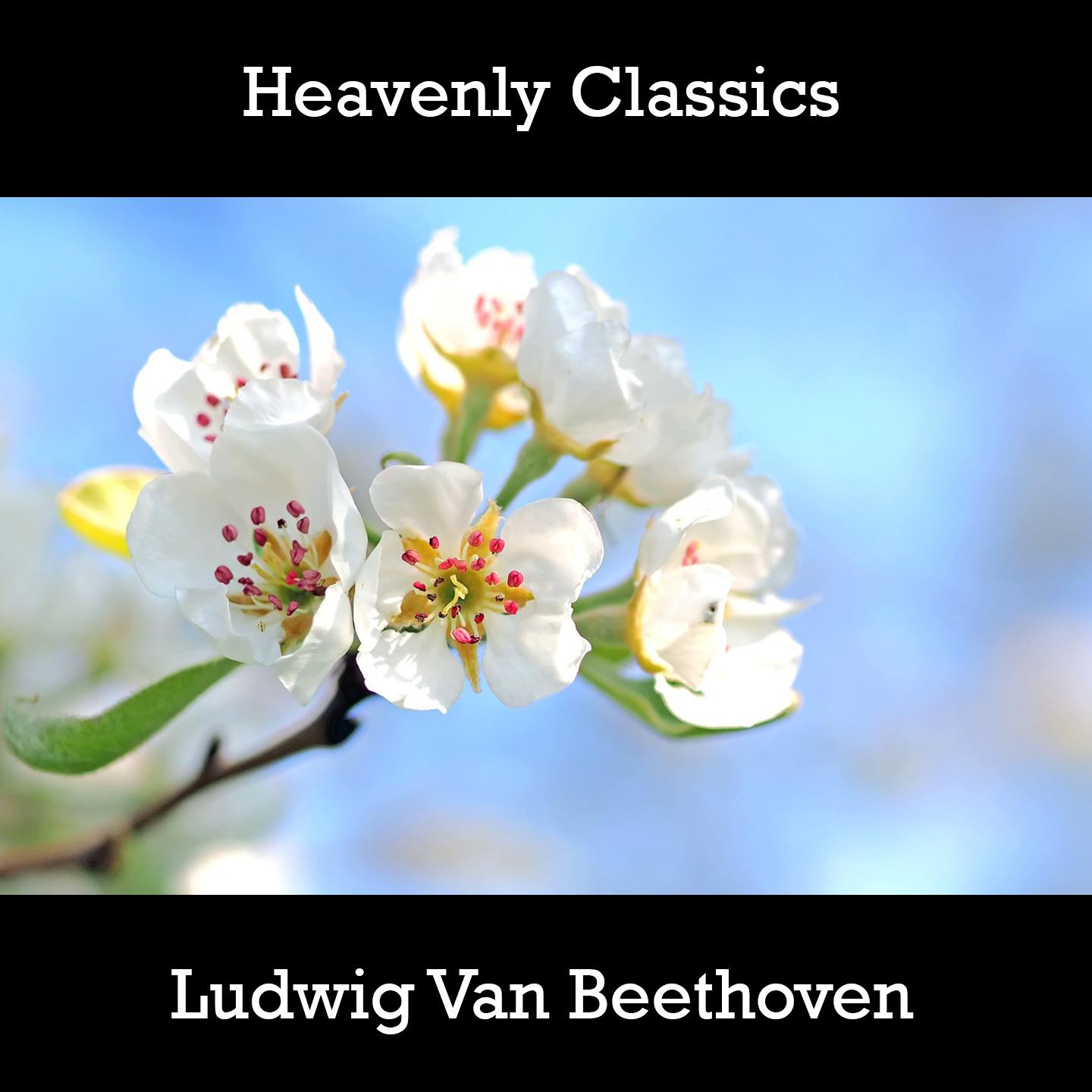 Heavenly Classics Ludwig Van Beethoven