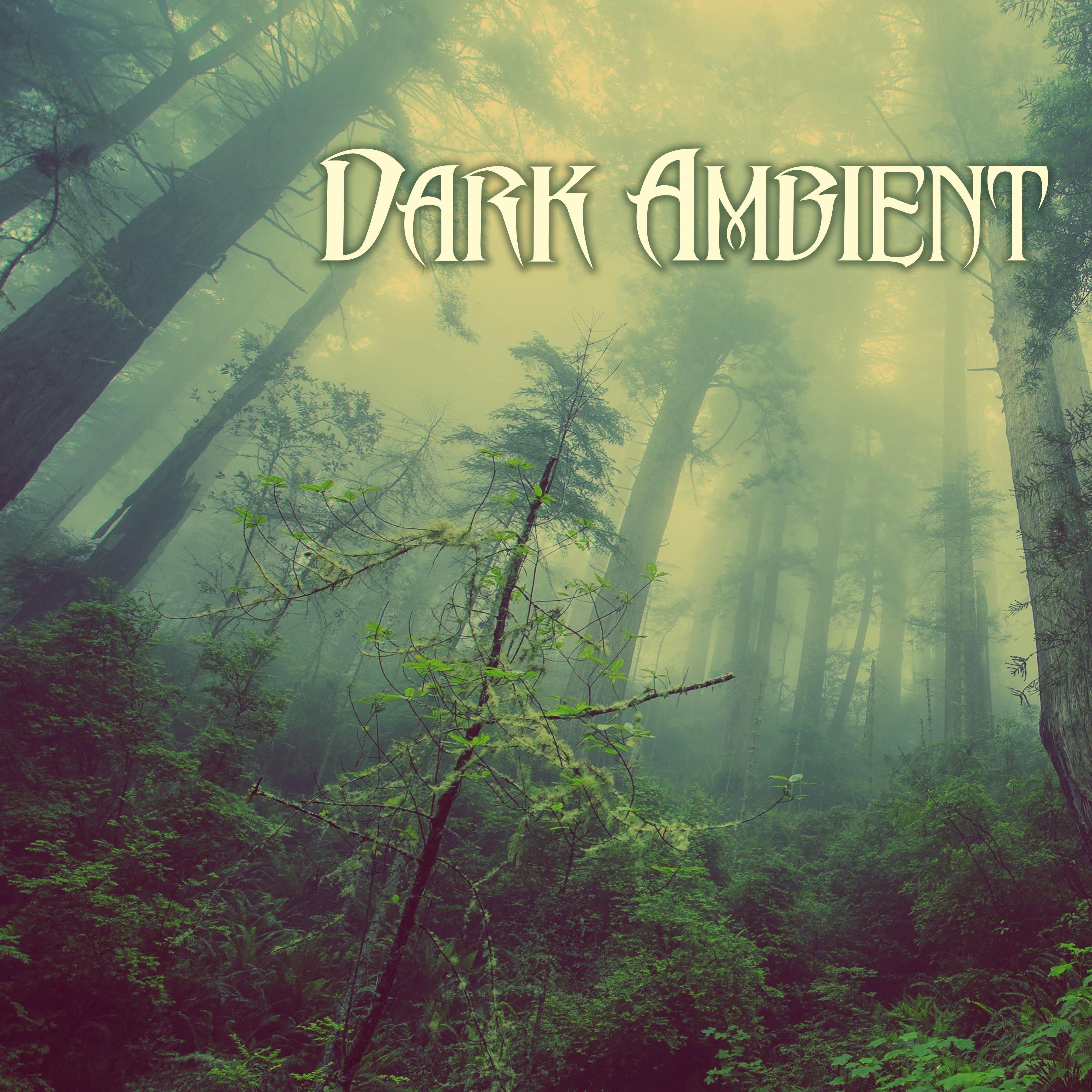 Dark Ambient Music - Nature Sounds, Creepy Soundscapes with Rain Background Sound