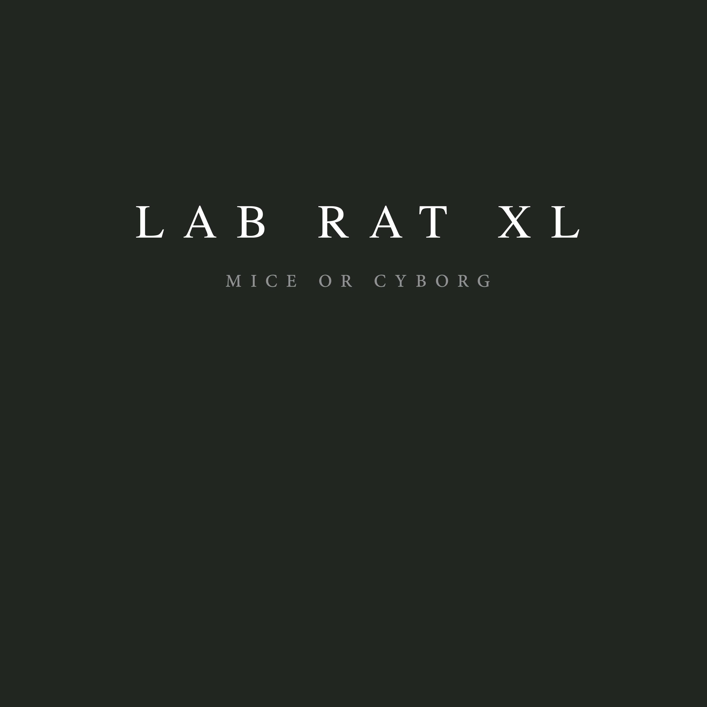 Lab Rat 2