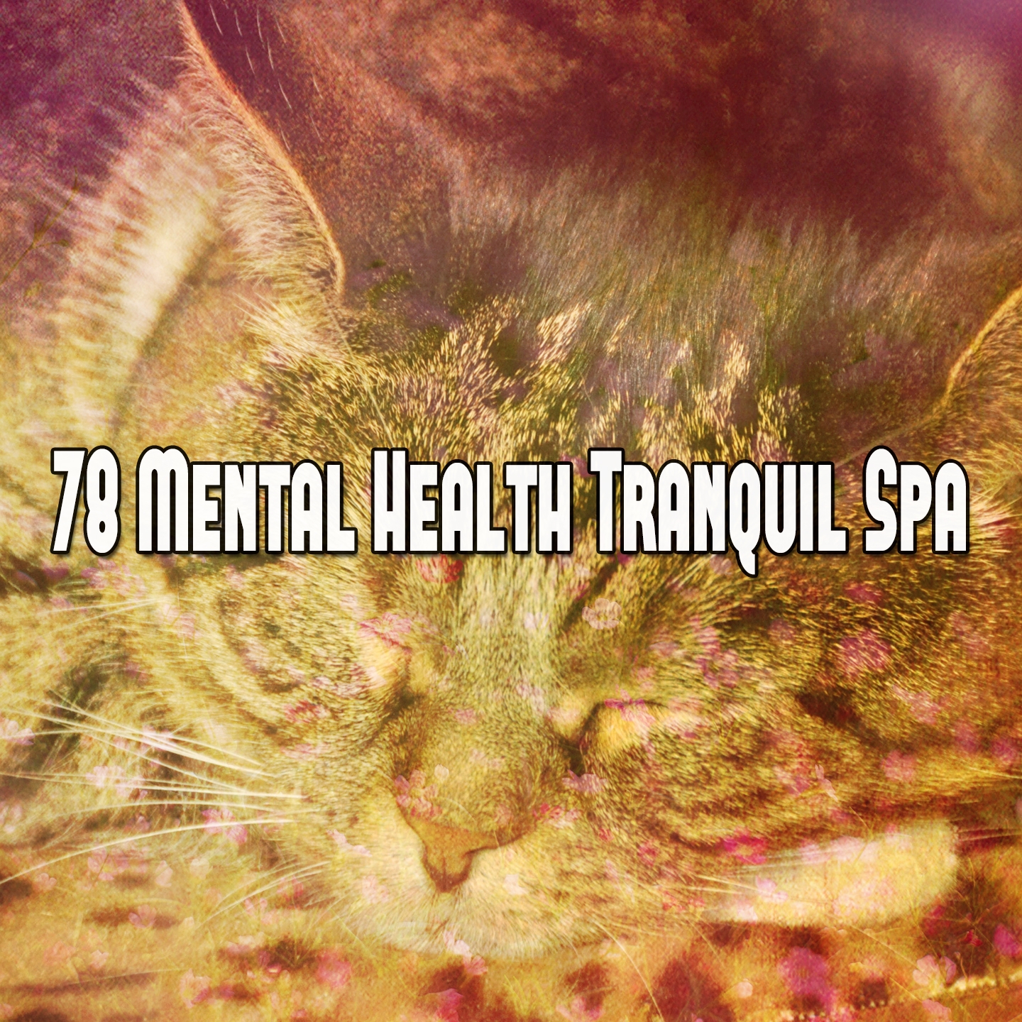 78 Mental Health Tranquil Spa