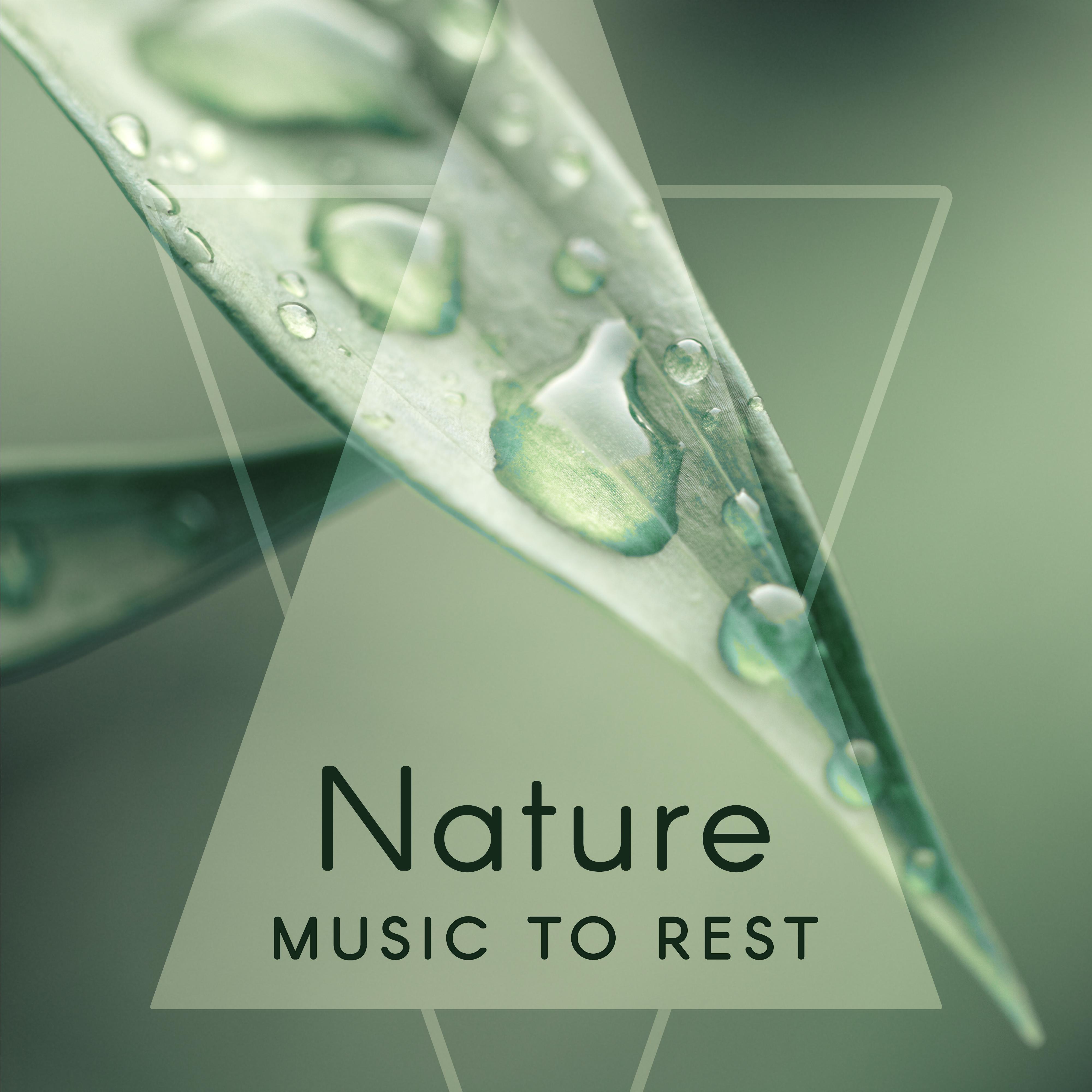 Nature Music to Rest  Soothing Waves, Nature Relaxation, New Age Calm Music, Sounds to Rest  Relax