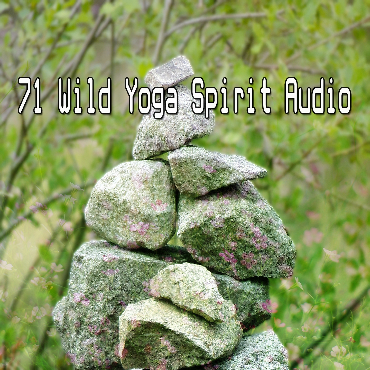 71 Wild Yoga Spirit Audio