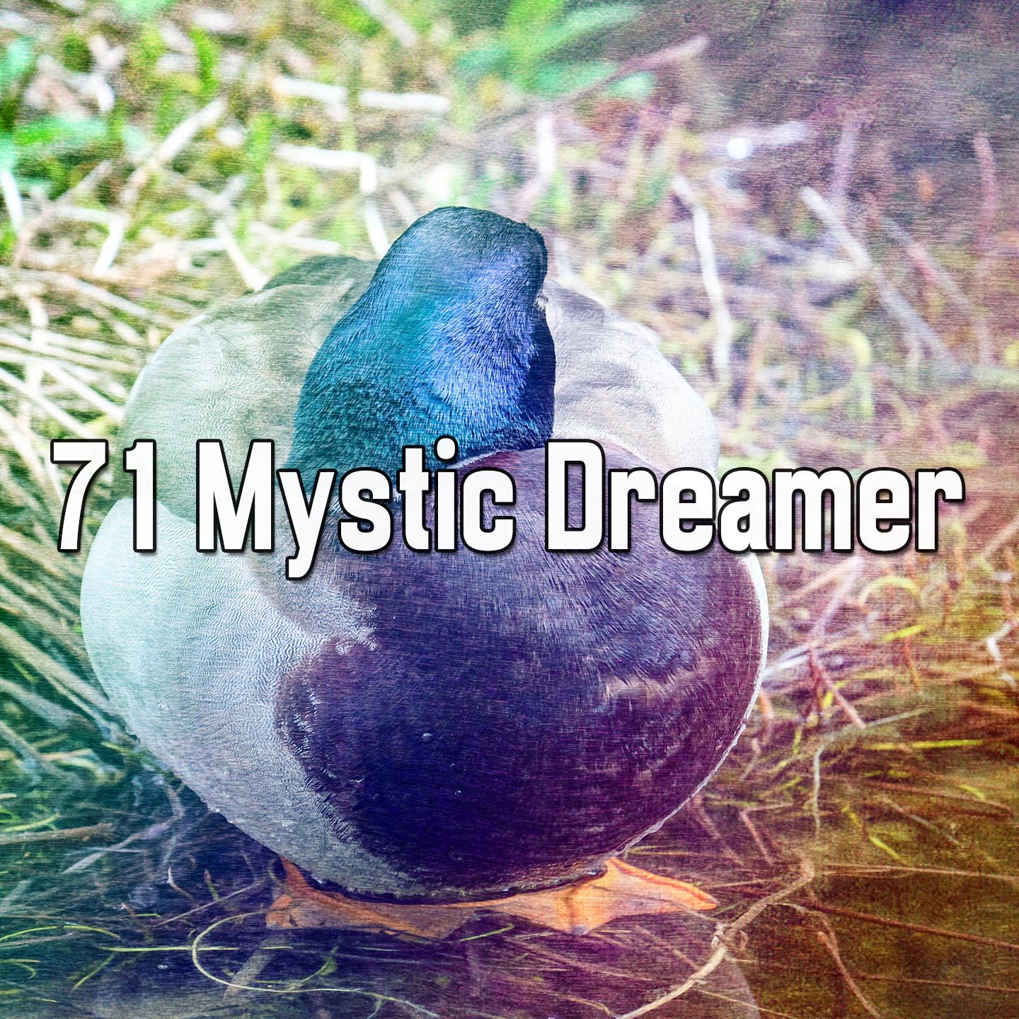 71 Mystic Dreamer