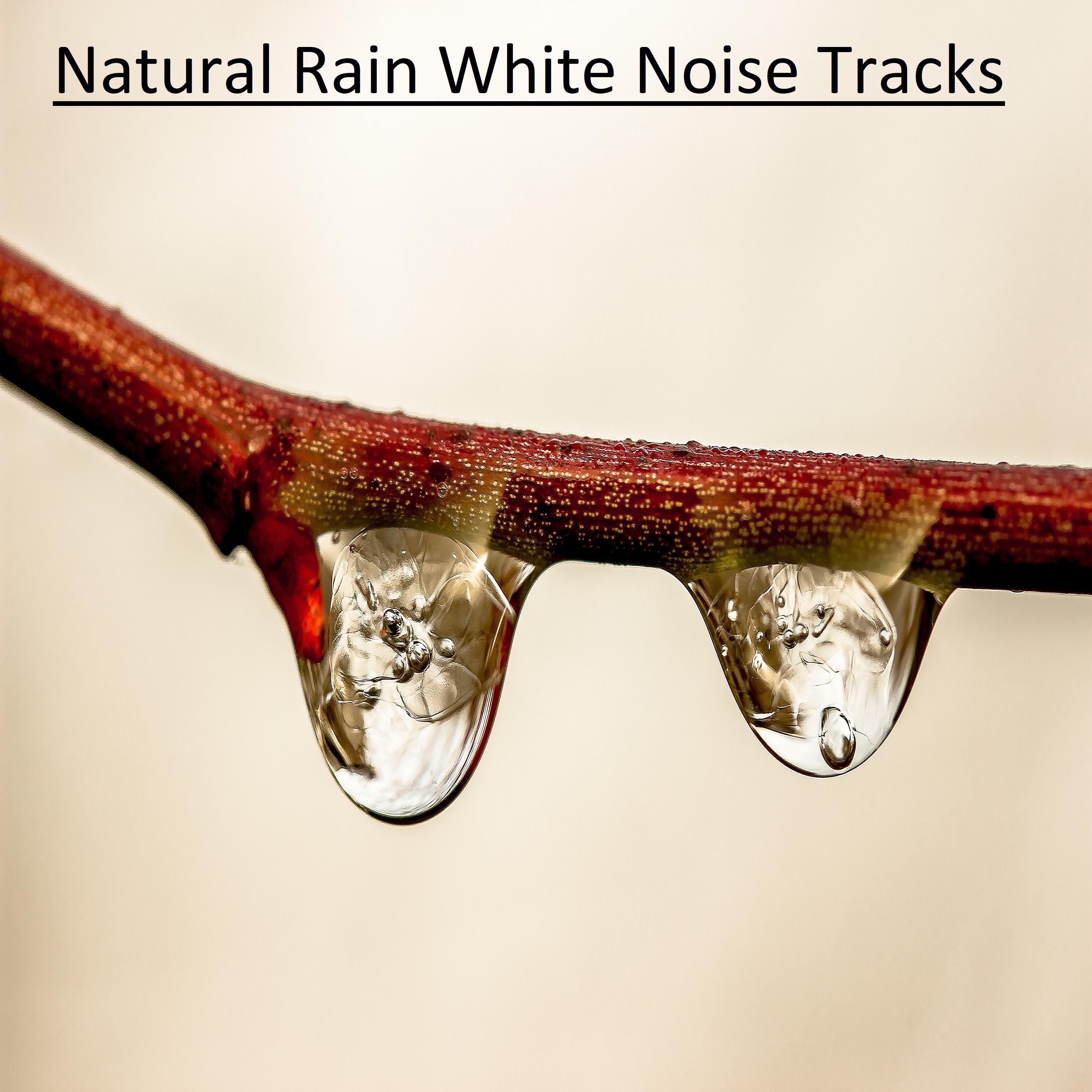 15 Natural Rain White Noise Tracks